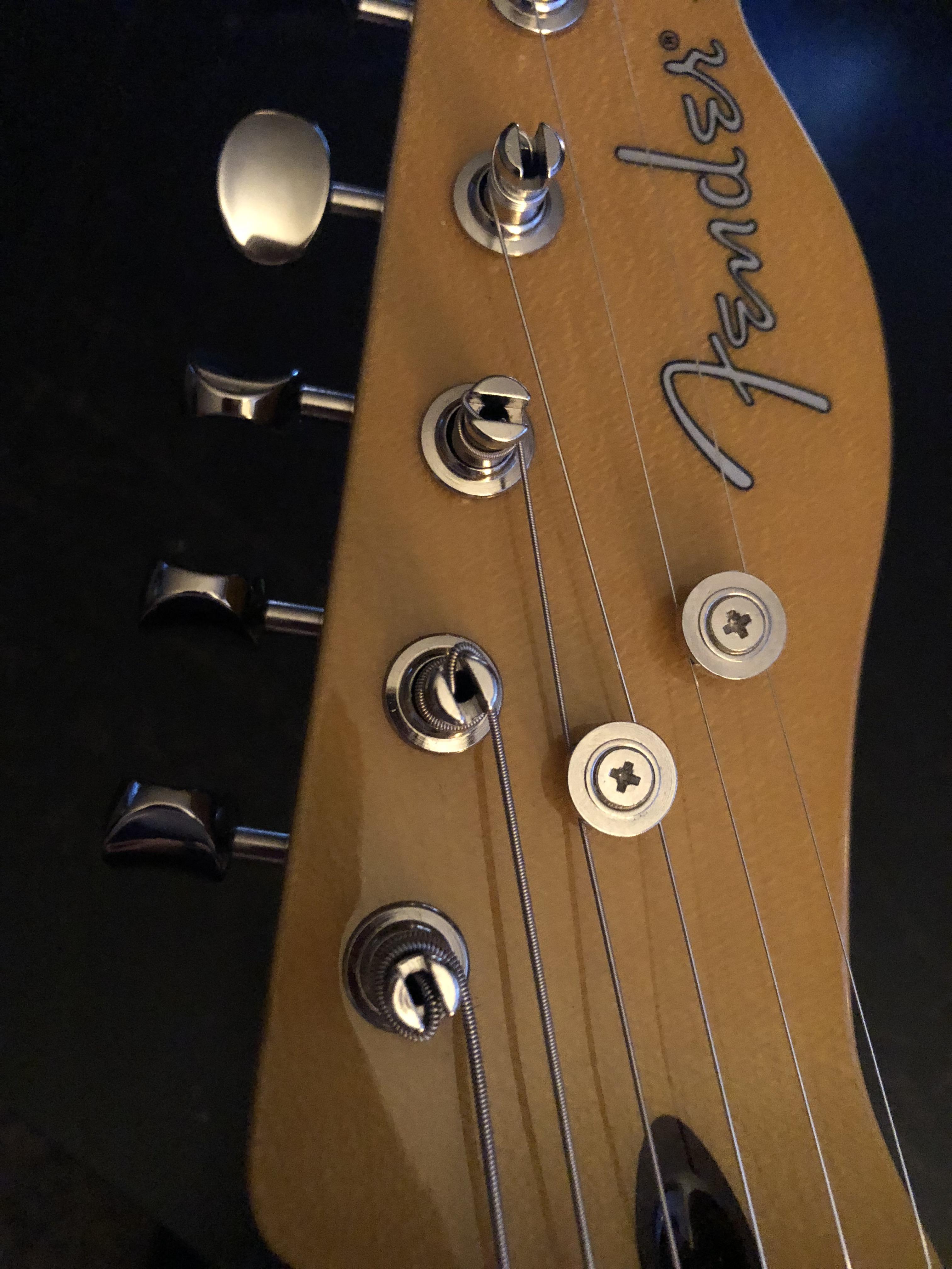 String tree r/guitars