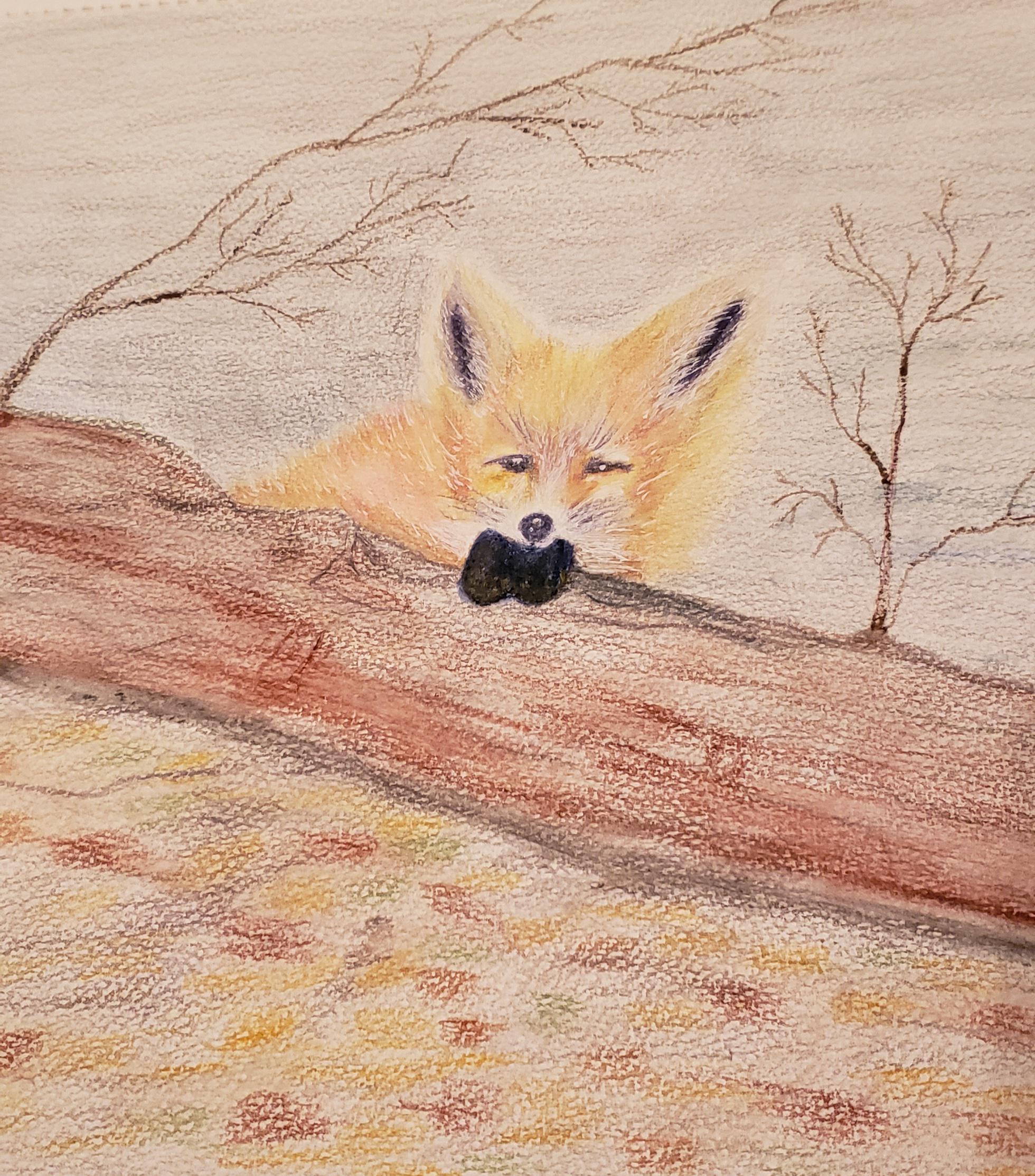 Learning how to use the watercolor pencils and it's harder than the oil