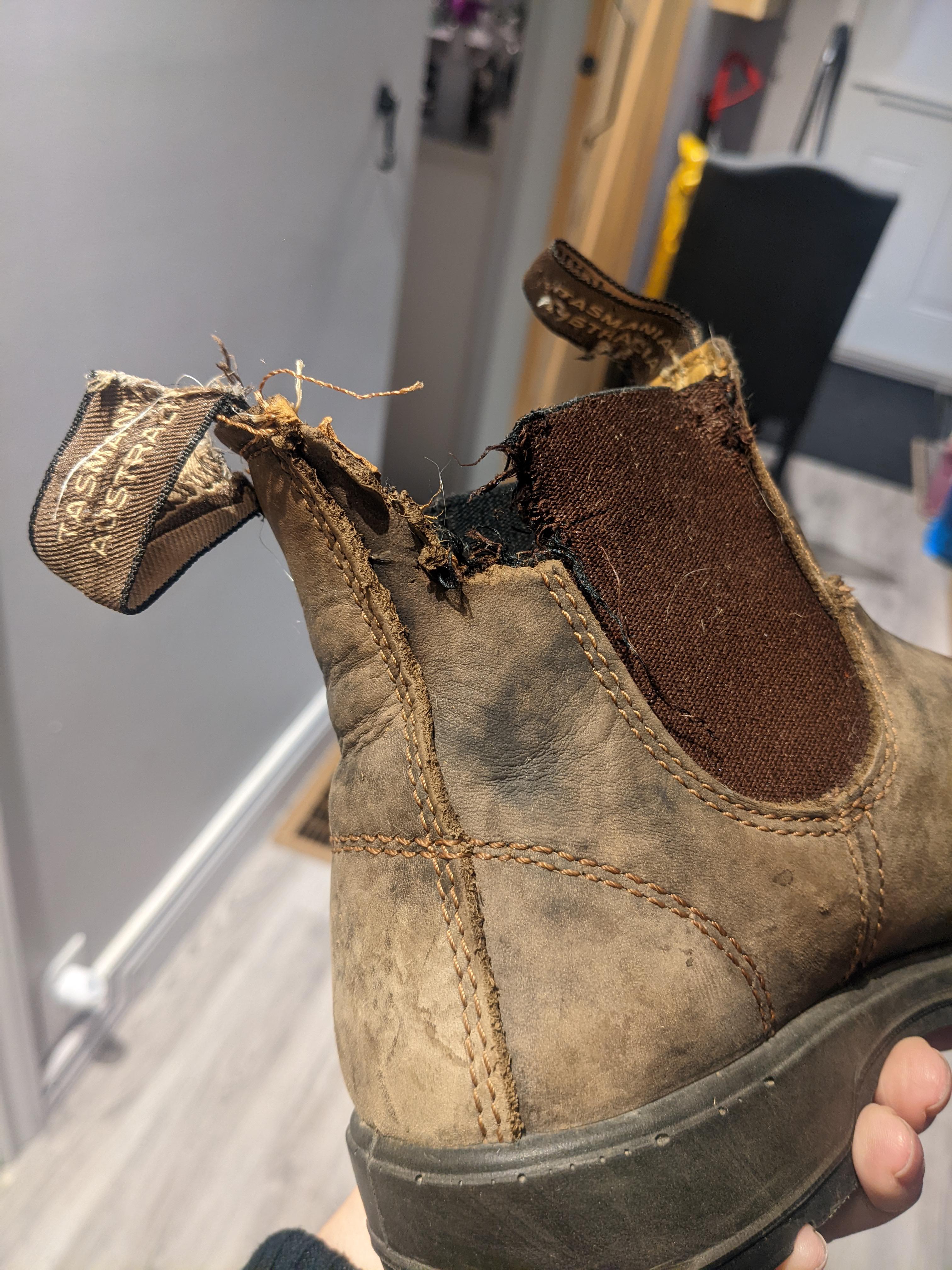 Dog decided to eat part of my Blundstones boot ( Would it be possible