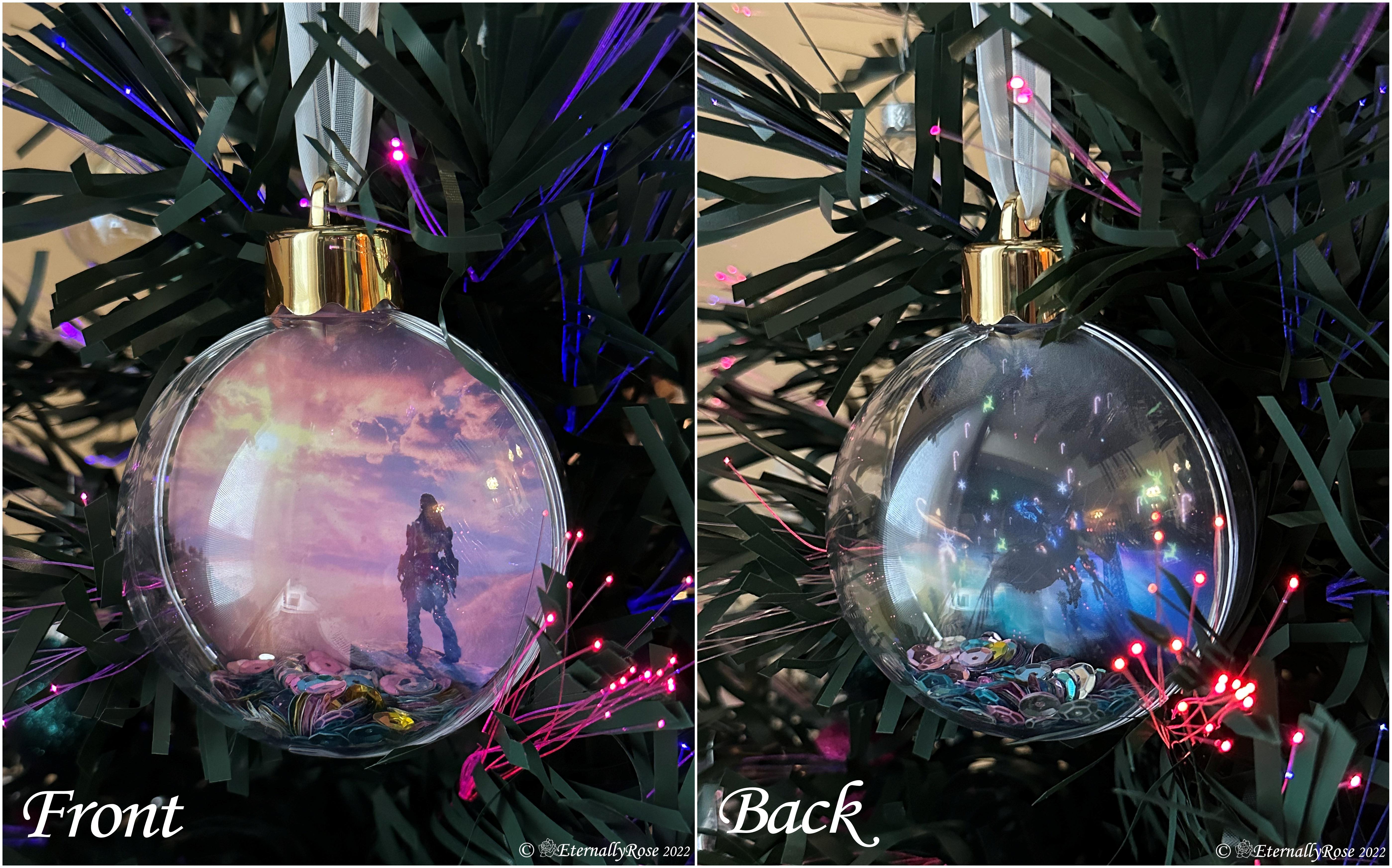 Horizon Photo Ornament r/horizon