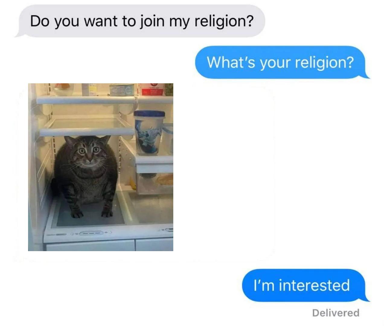 start a cat cult r/cats