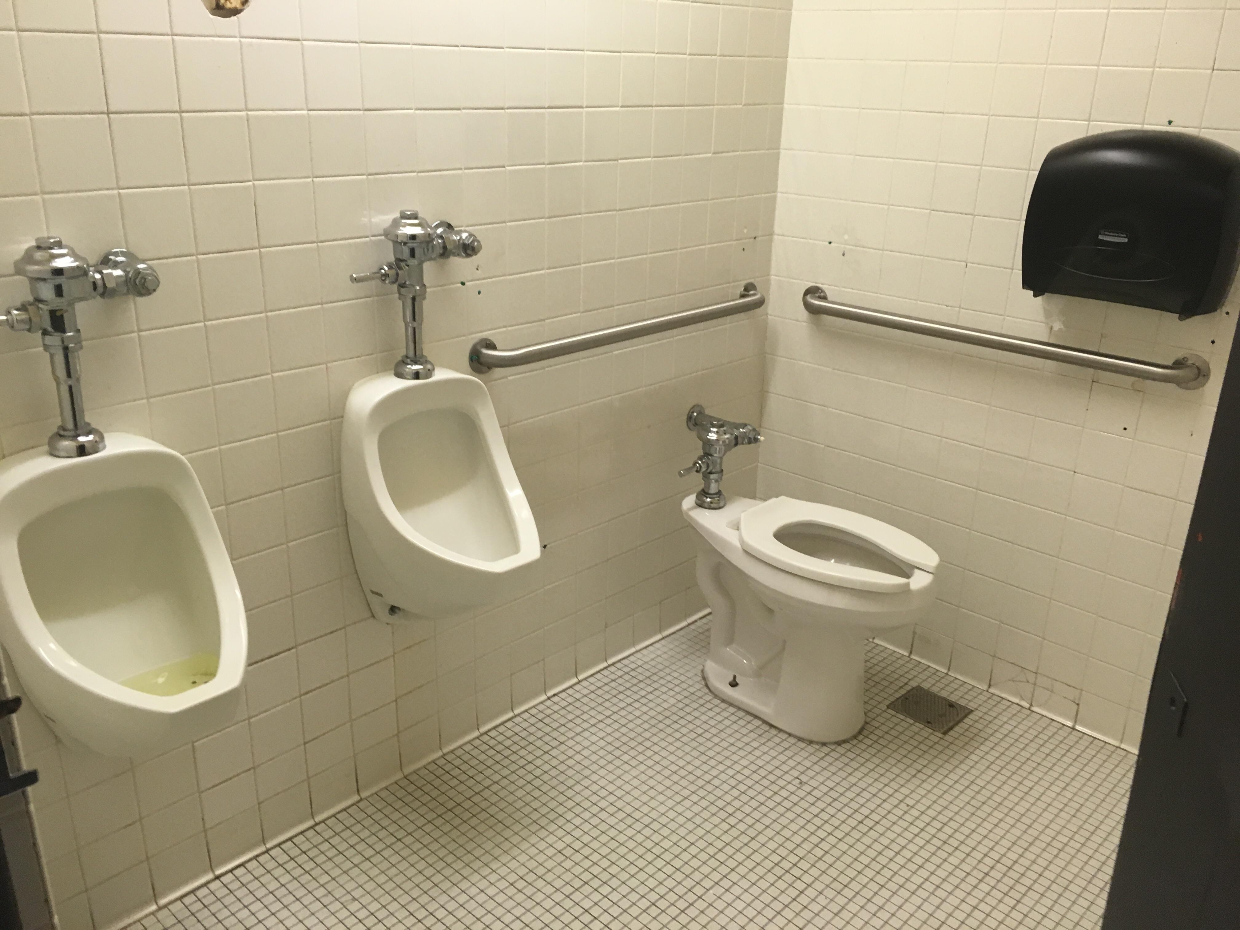 My school bathroom... This is all one stall CrappyDesign