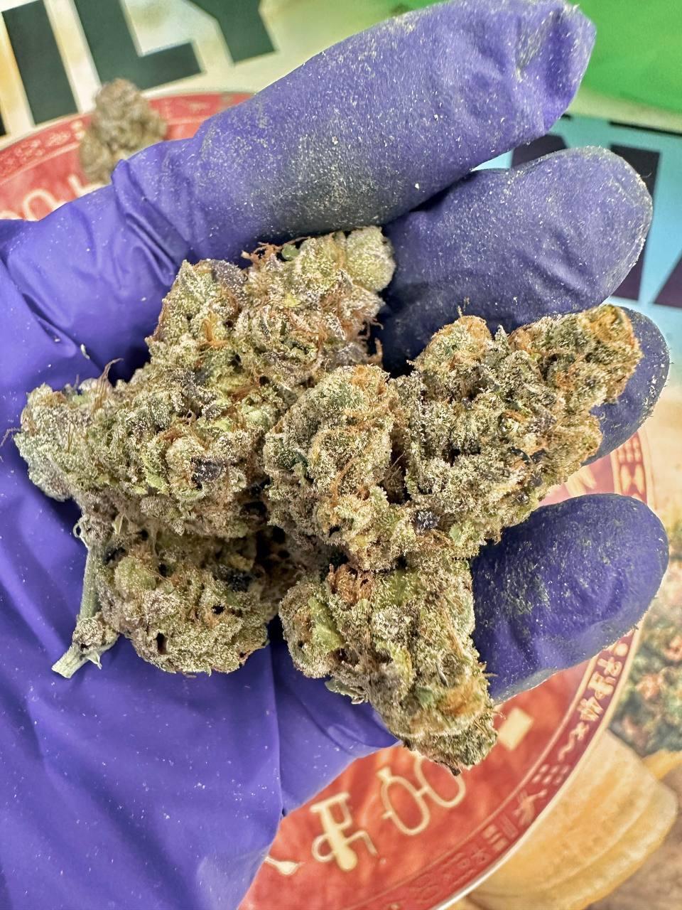 Dense buds r/cannabiscultivation