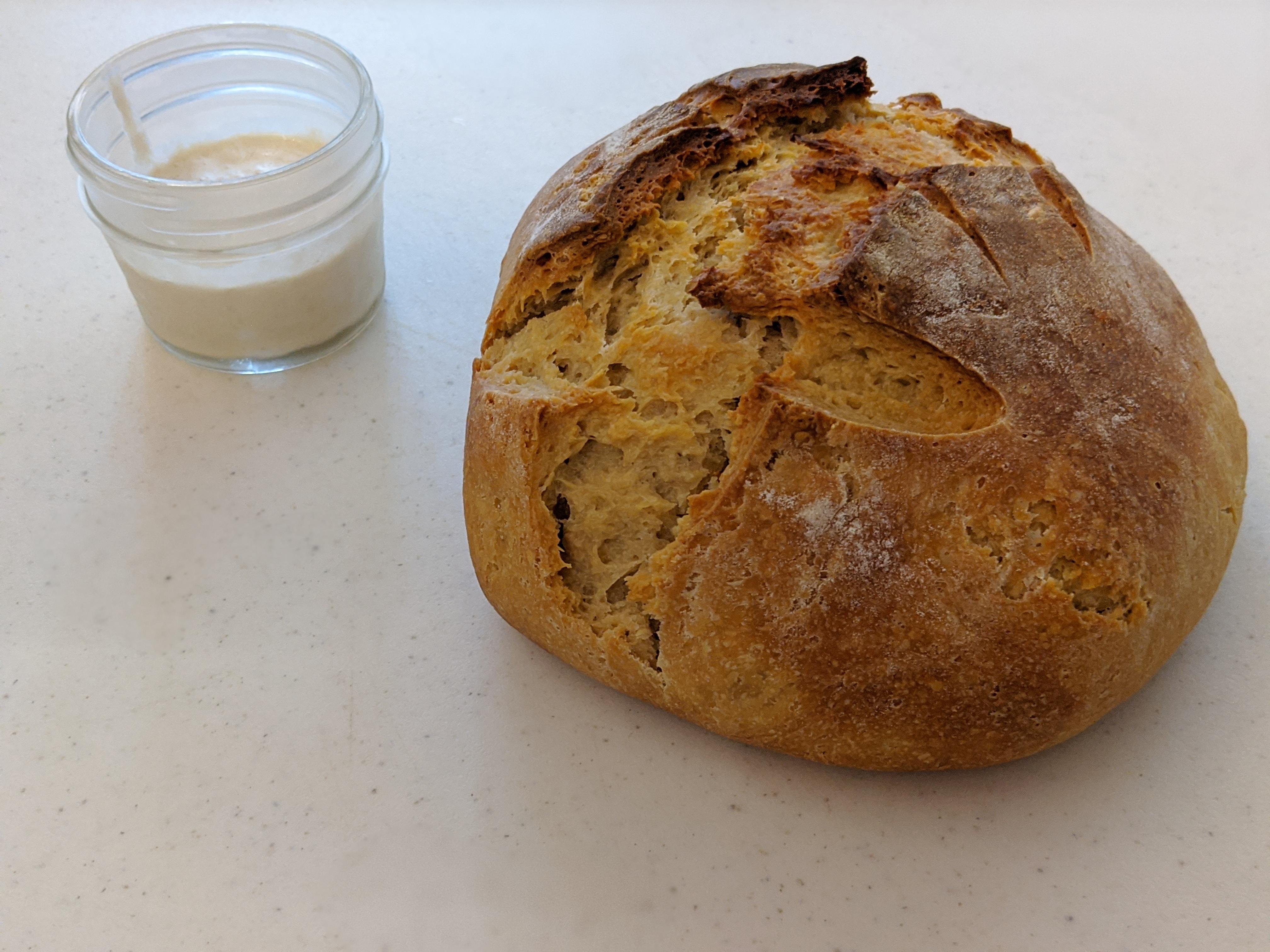 First time baking any kind of bread let alone sourgdough