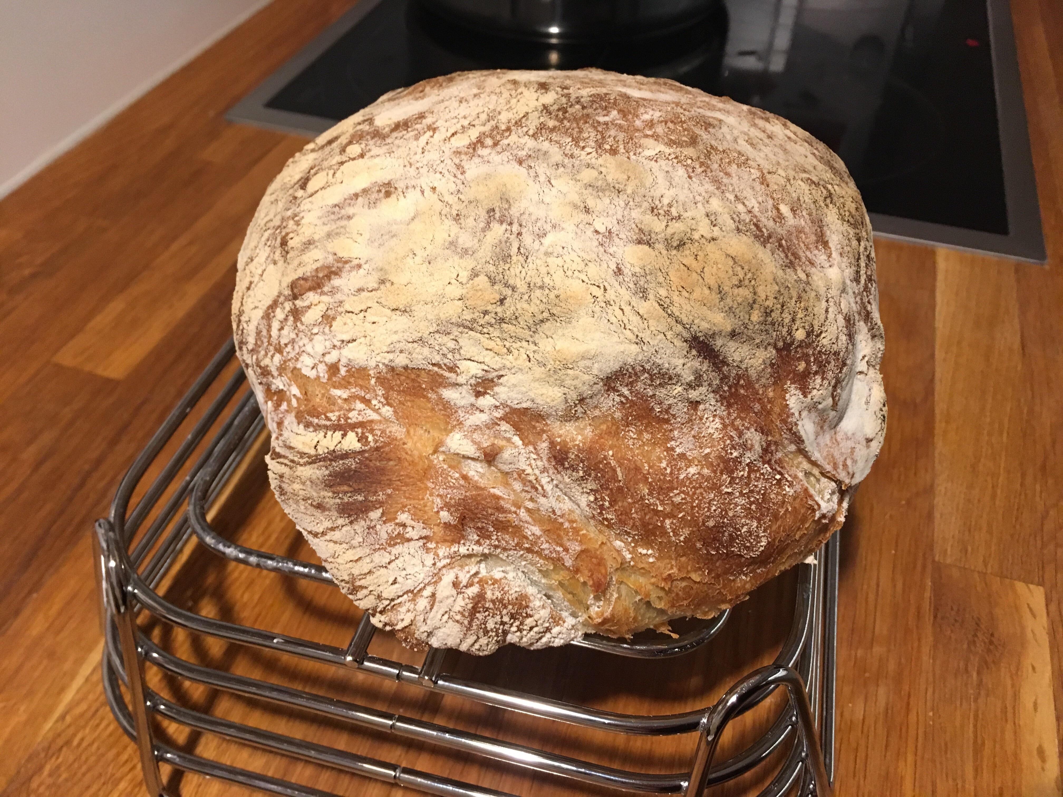 Homemade Italian bread I just took out of the oven r/pics
