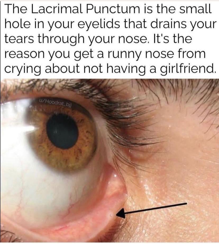 No, I’m not crying. I just got something in my eye. r/OptometryMemes