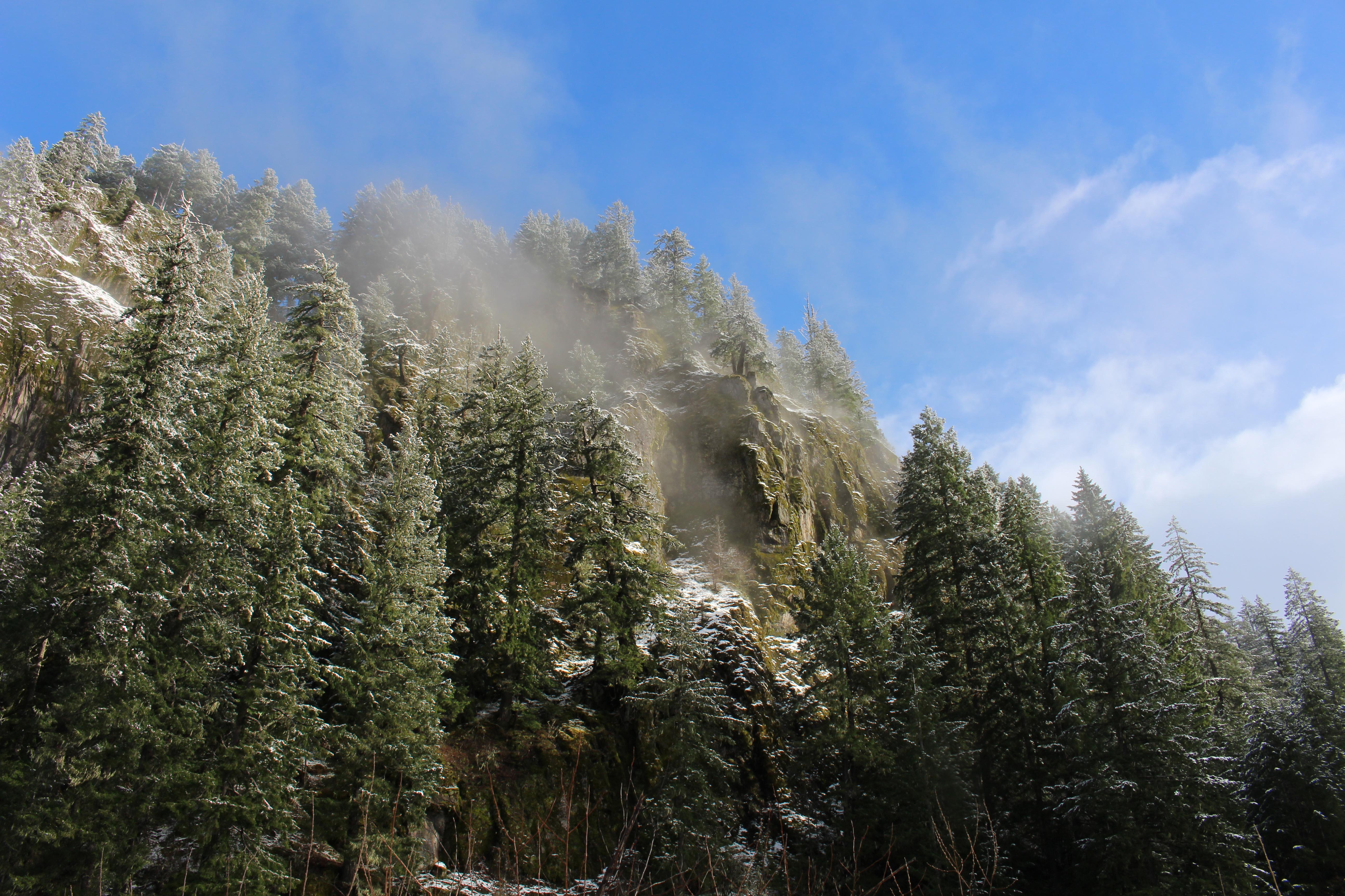 Gifford Pinchot National Forest Washington.[5184 x 3456] r/EarthPorn