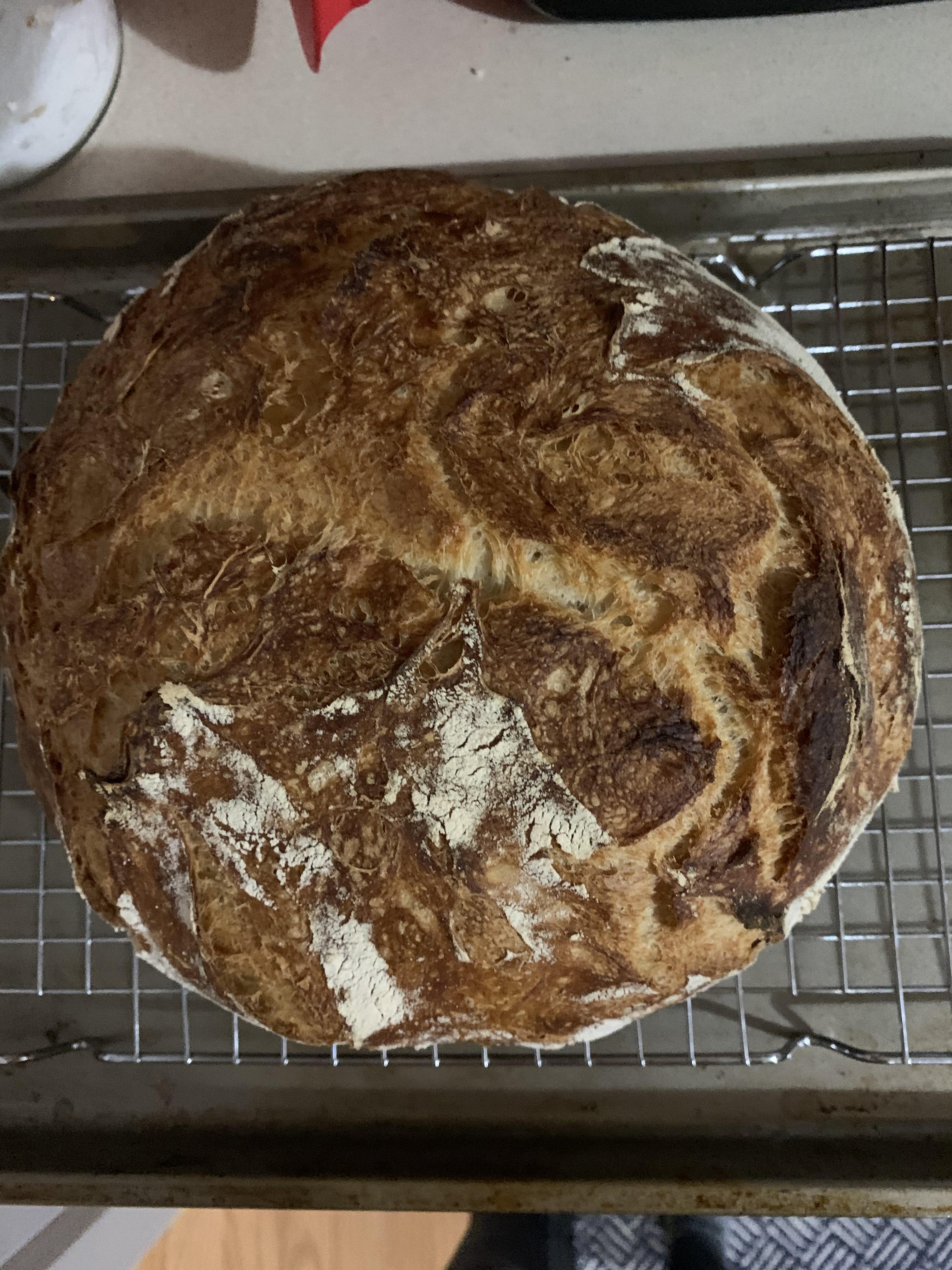My first ever loaf! Thanks to a Christmas gift of Flour Water Salt