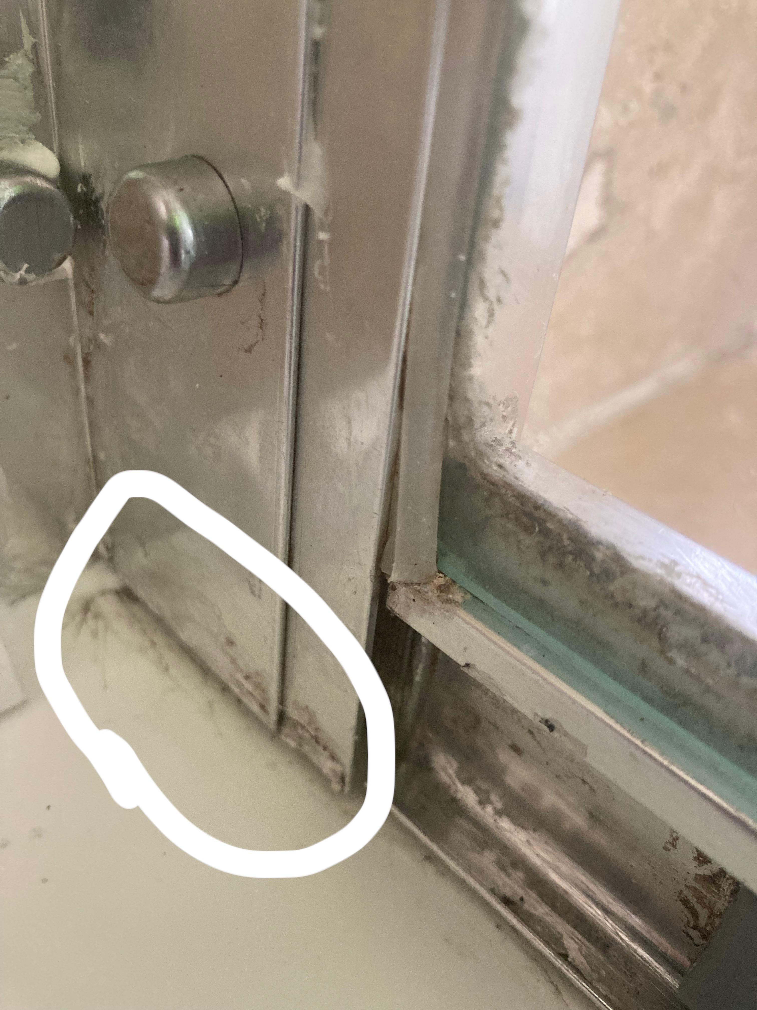 Should I seal this part of the shower screen? r/DIYUK
