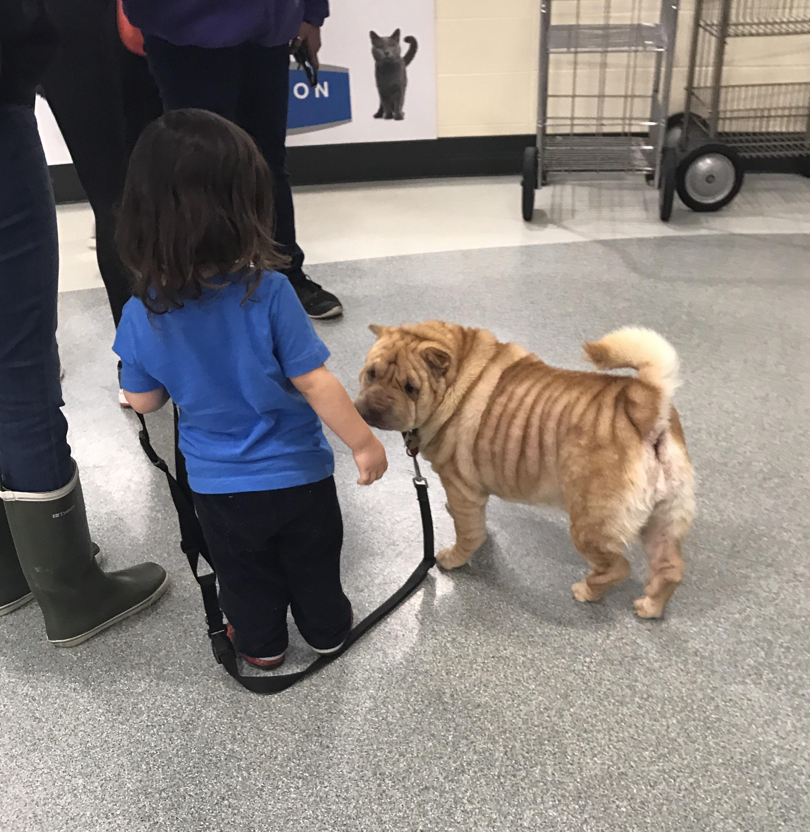 spotted at the vet. two best friends. r/aww