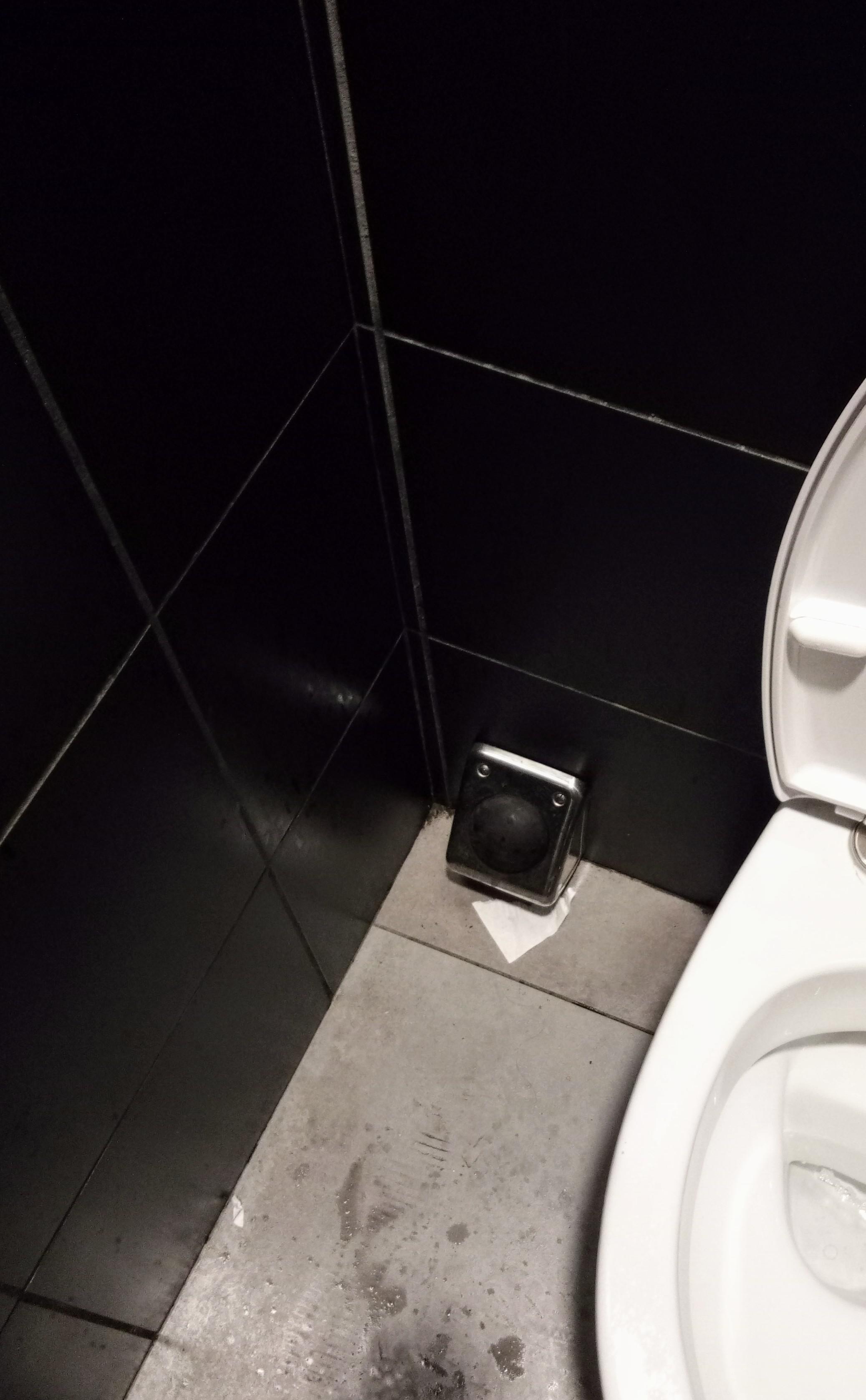McDonald's bathroom in Rome has a flush that you kick, so you don't get