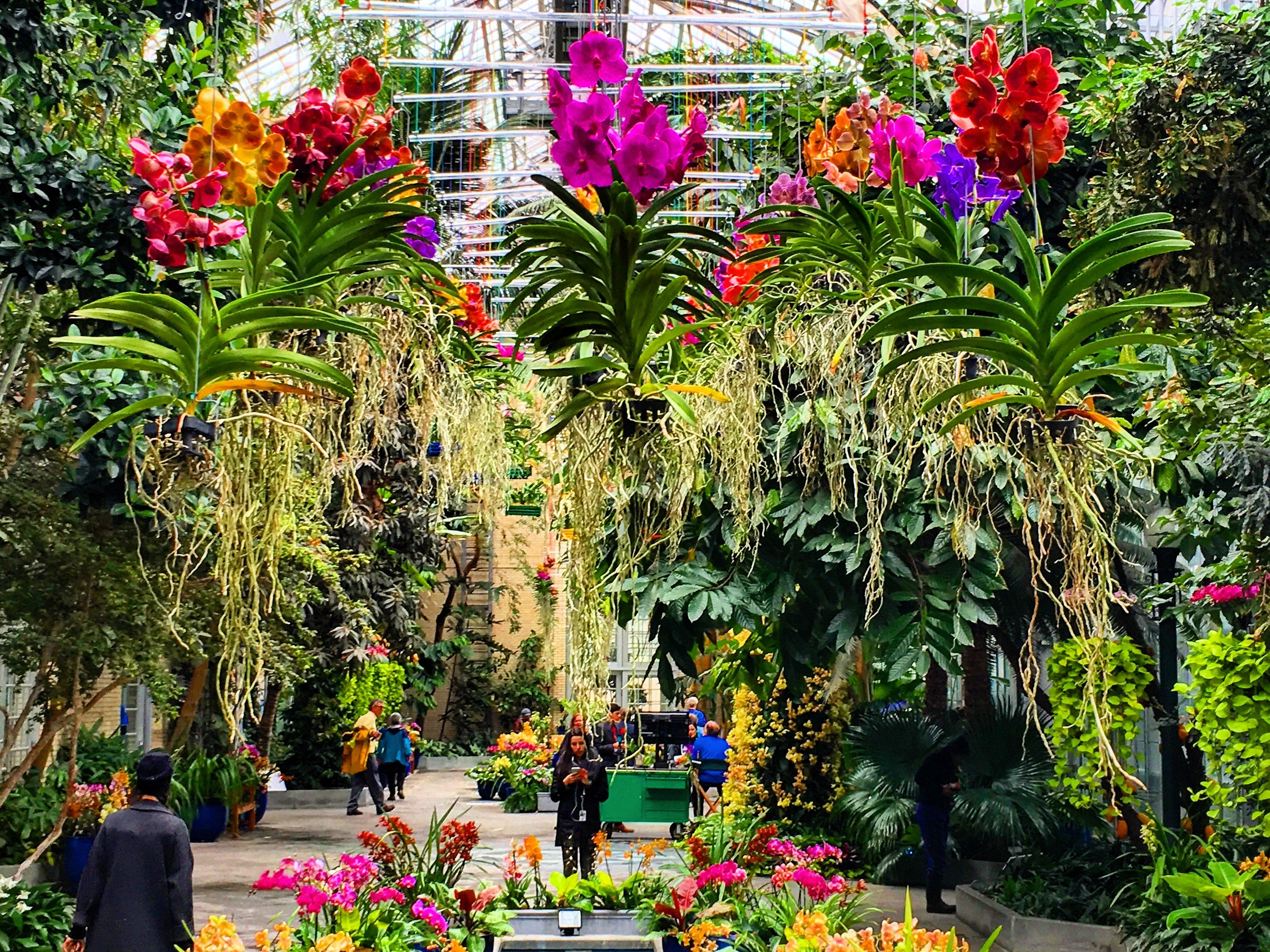 National Botanical Garden. 2018 BotanicalPorn