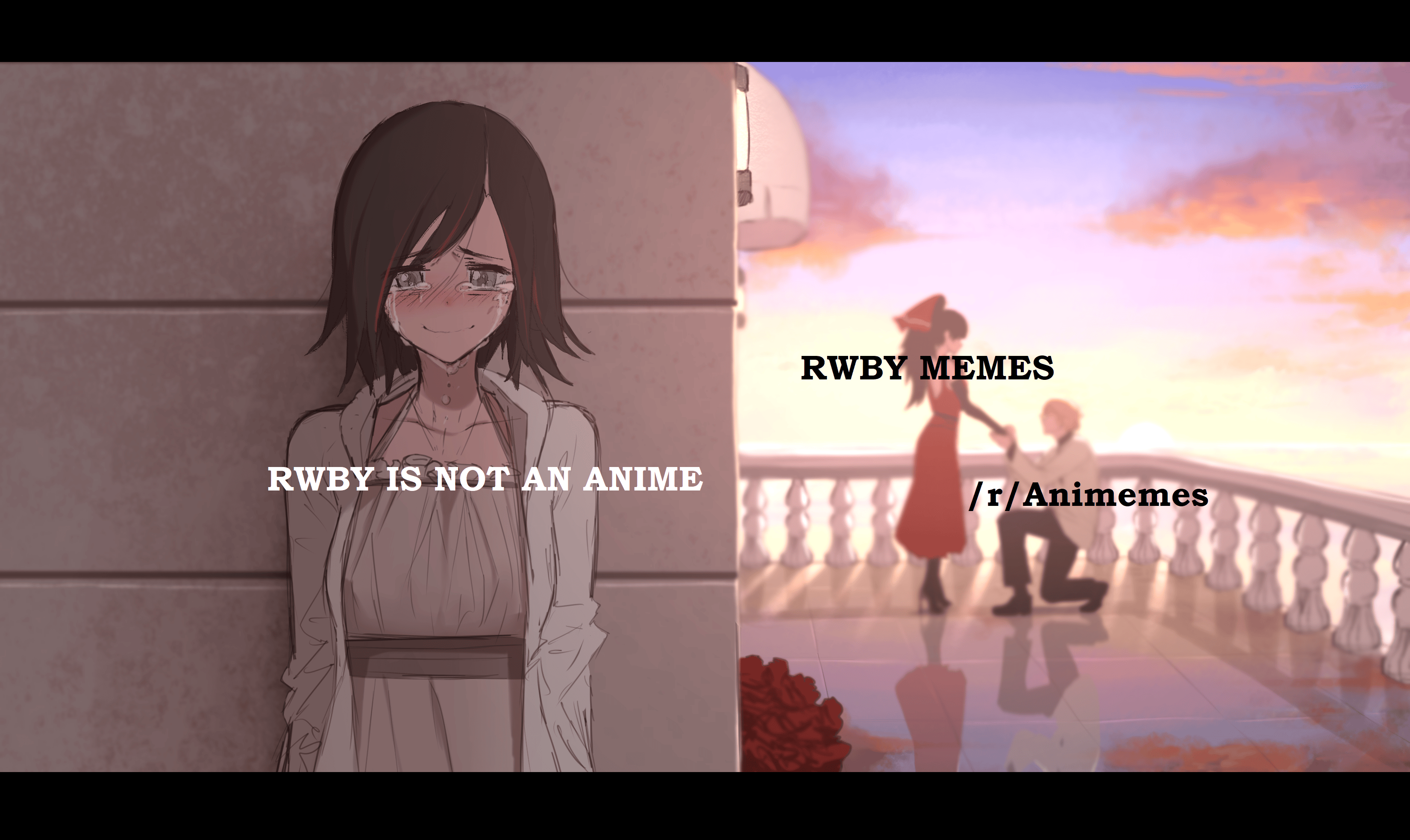 Recently i start to see more and more RWBY memes here. Animemes
