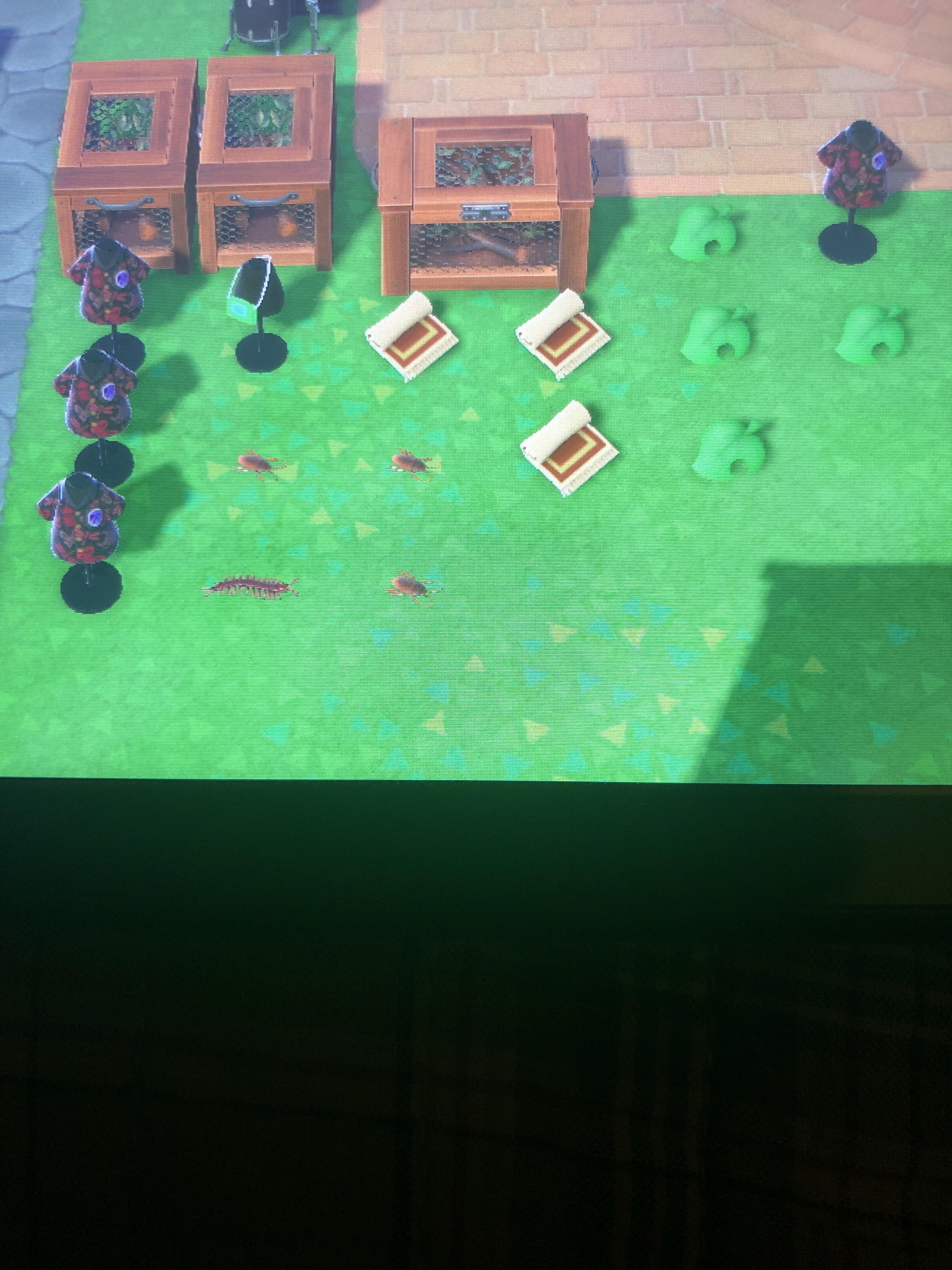 LF to go to the Southern Hemisphere and catch the fish and bugs. FT