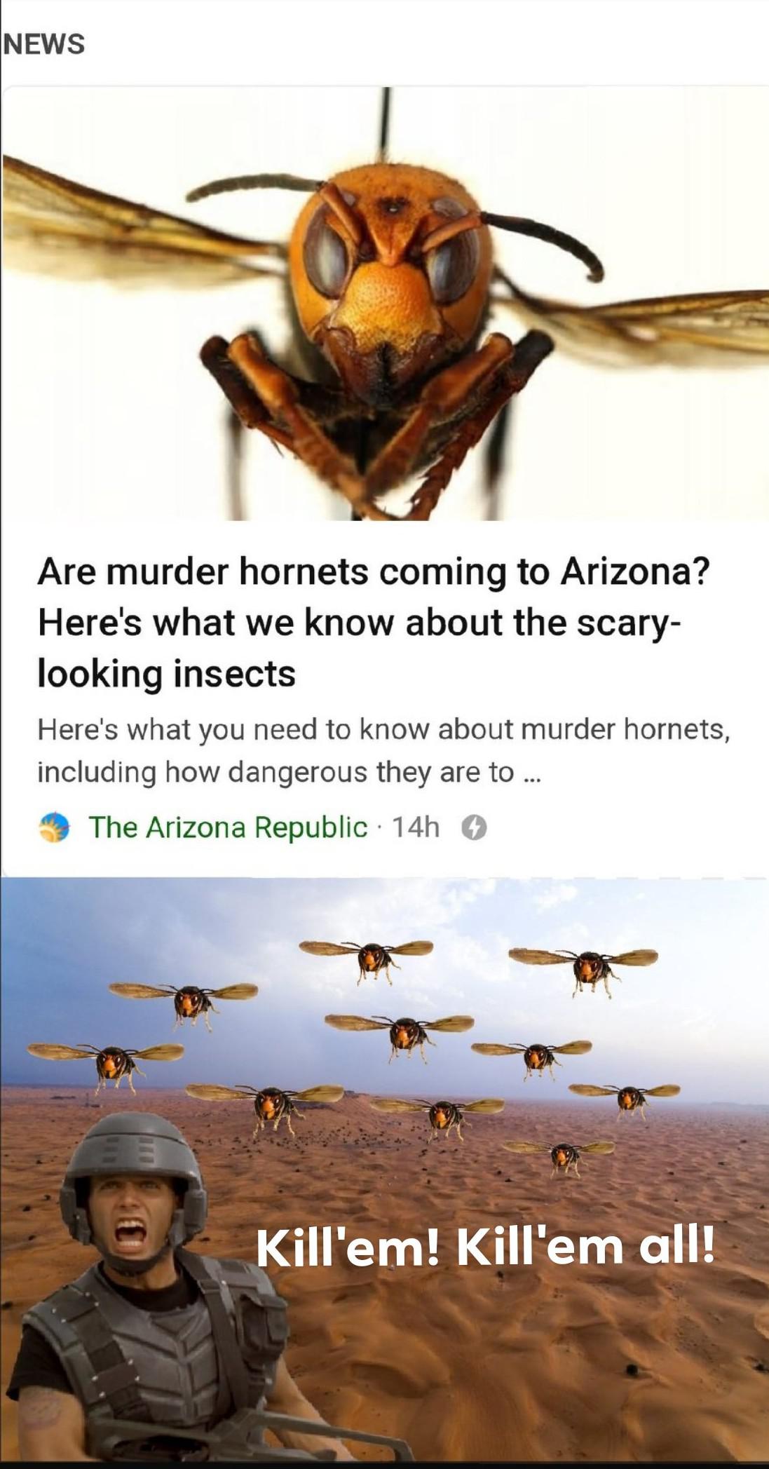 The only good bug, is a dead bug. memes