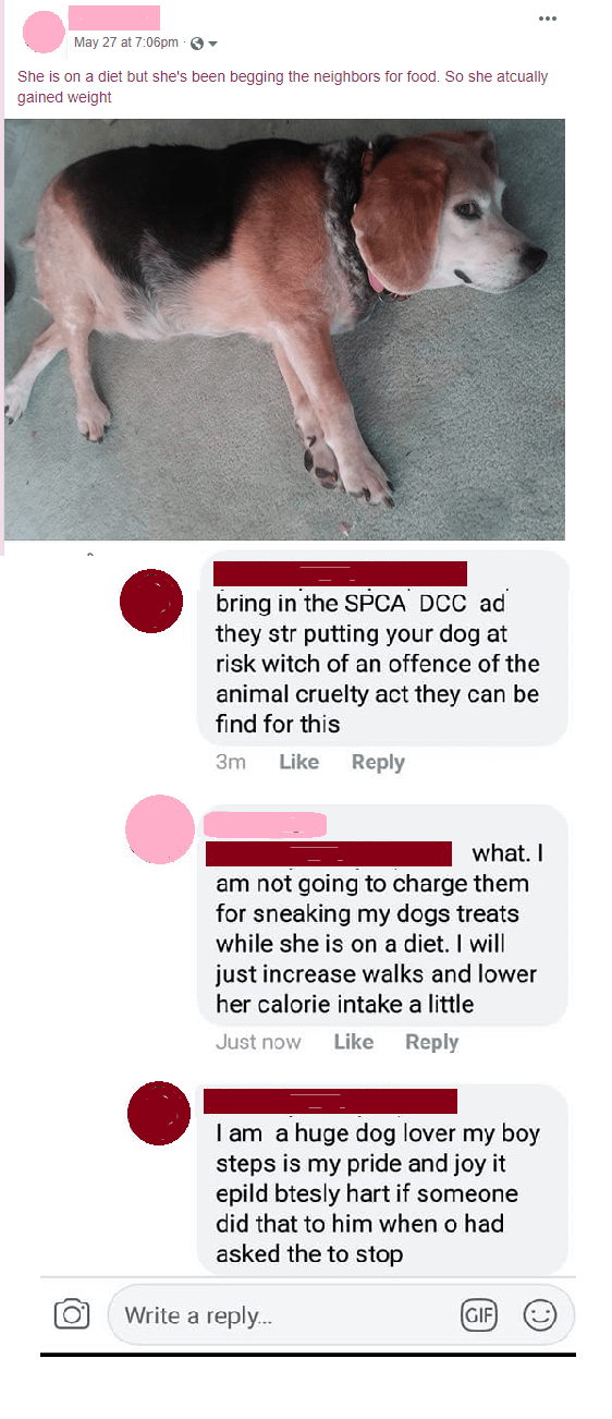 My neighbours have been feeding my dog treats.Time to call the police