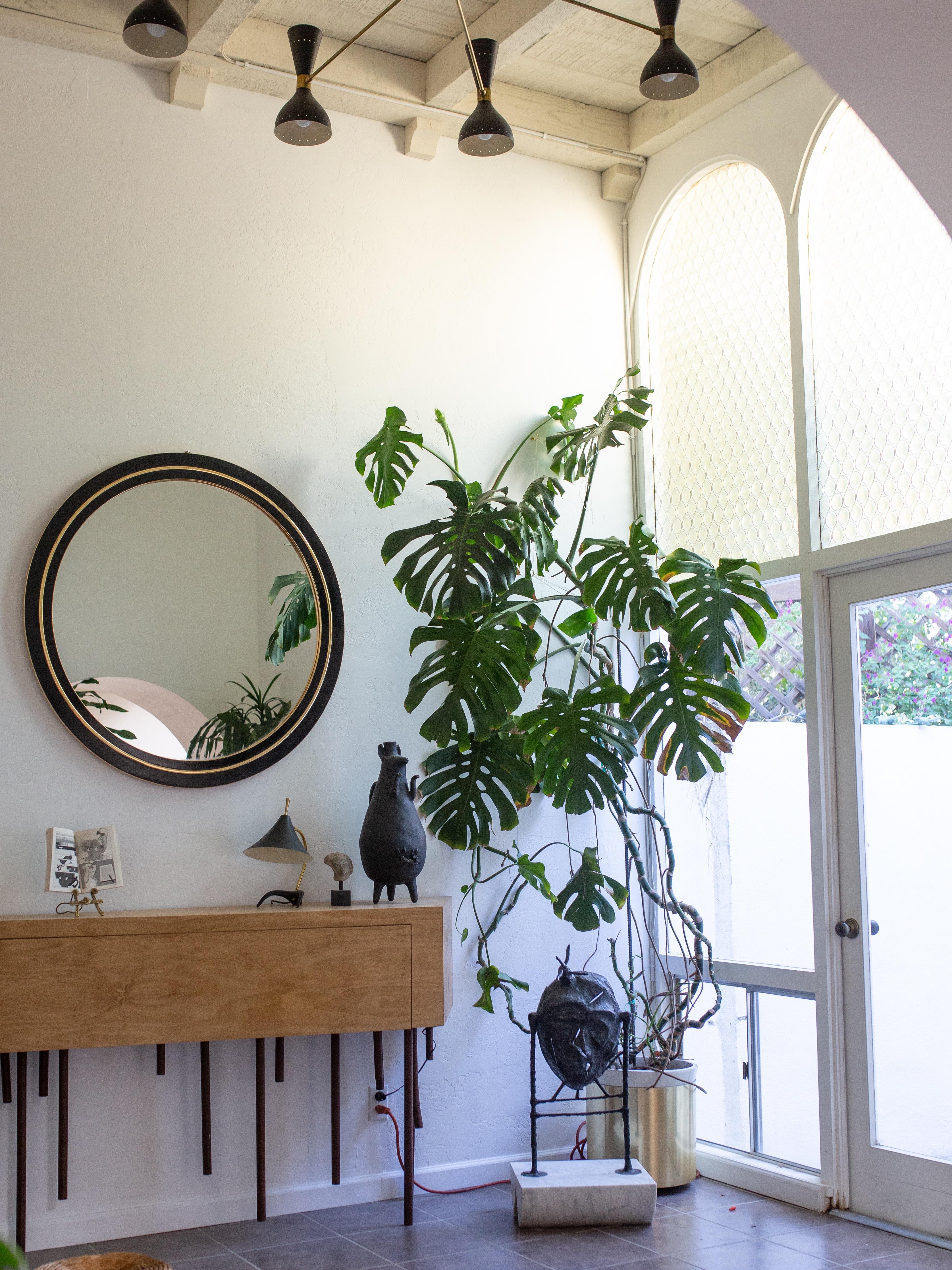 Just inherited this 9’ Monstera from my botanist friends. He’s gonna