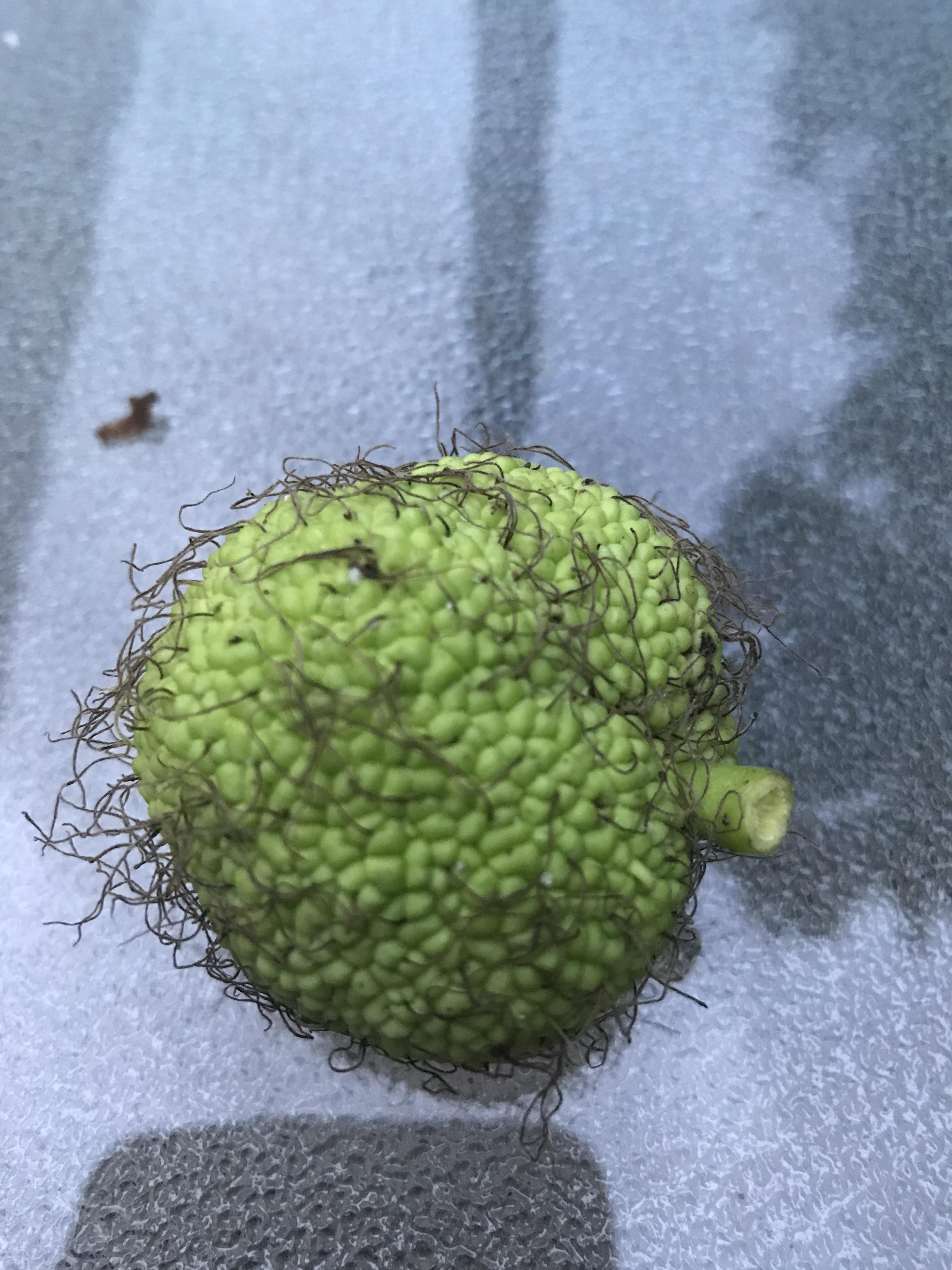 338 best Pubic images on Pholder Pics, Ask Troll X and Nyc