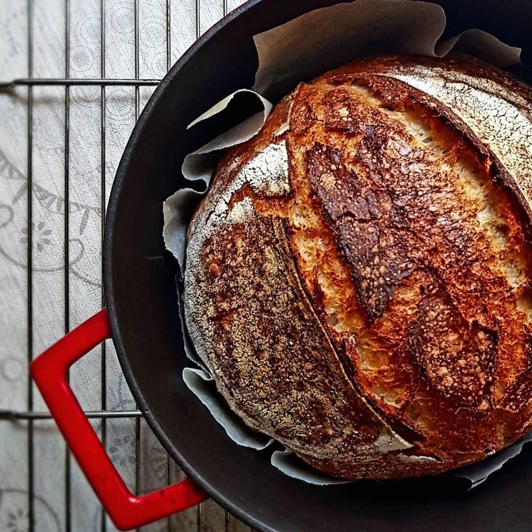 Making sourdough bread after long time in cast iron pan