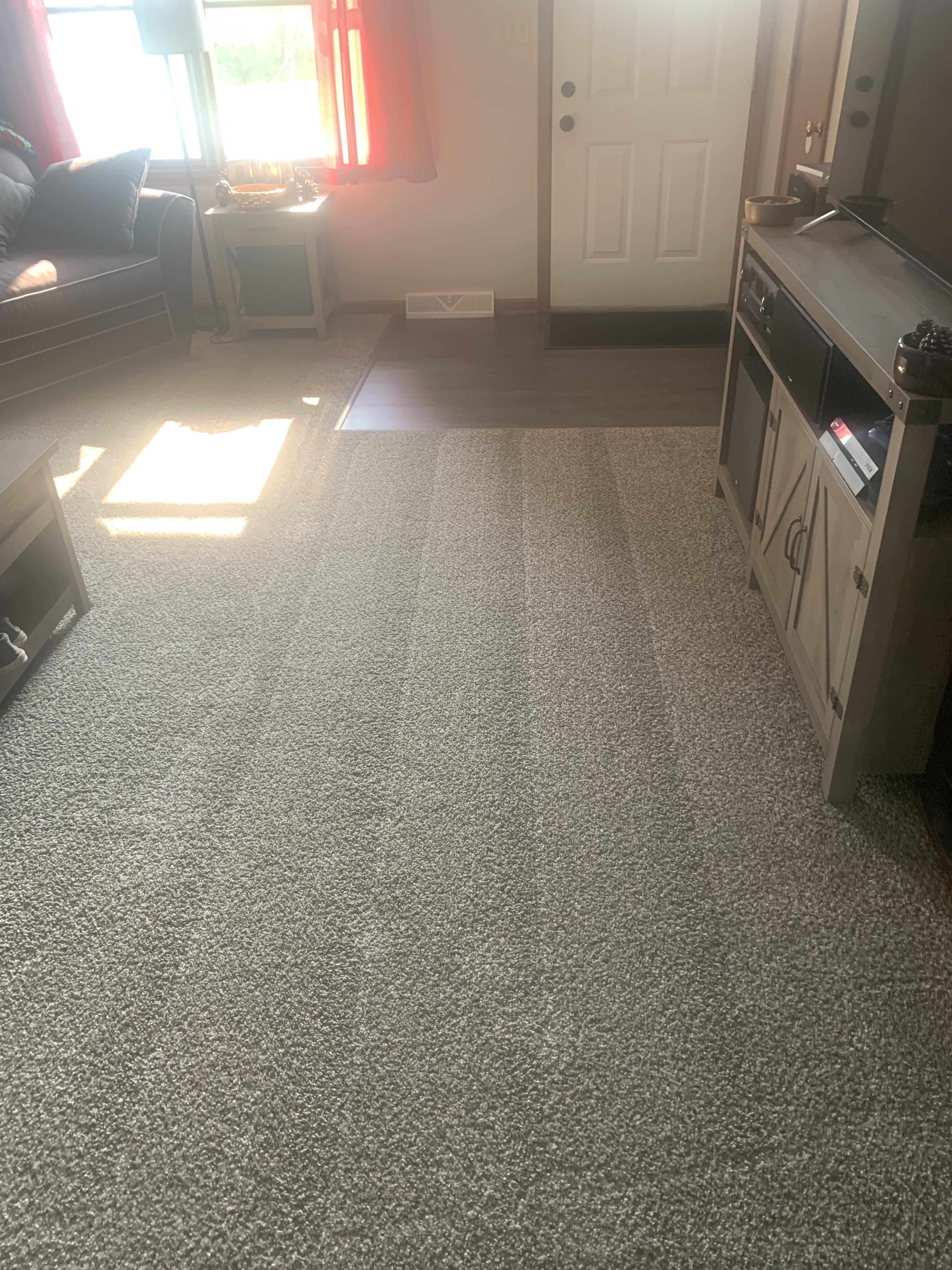 Carpet Lines From My Roomba WallE r/oddlysatisfying