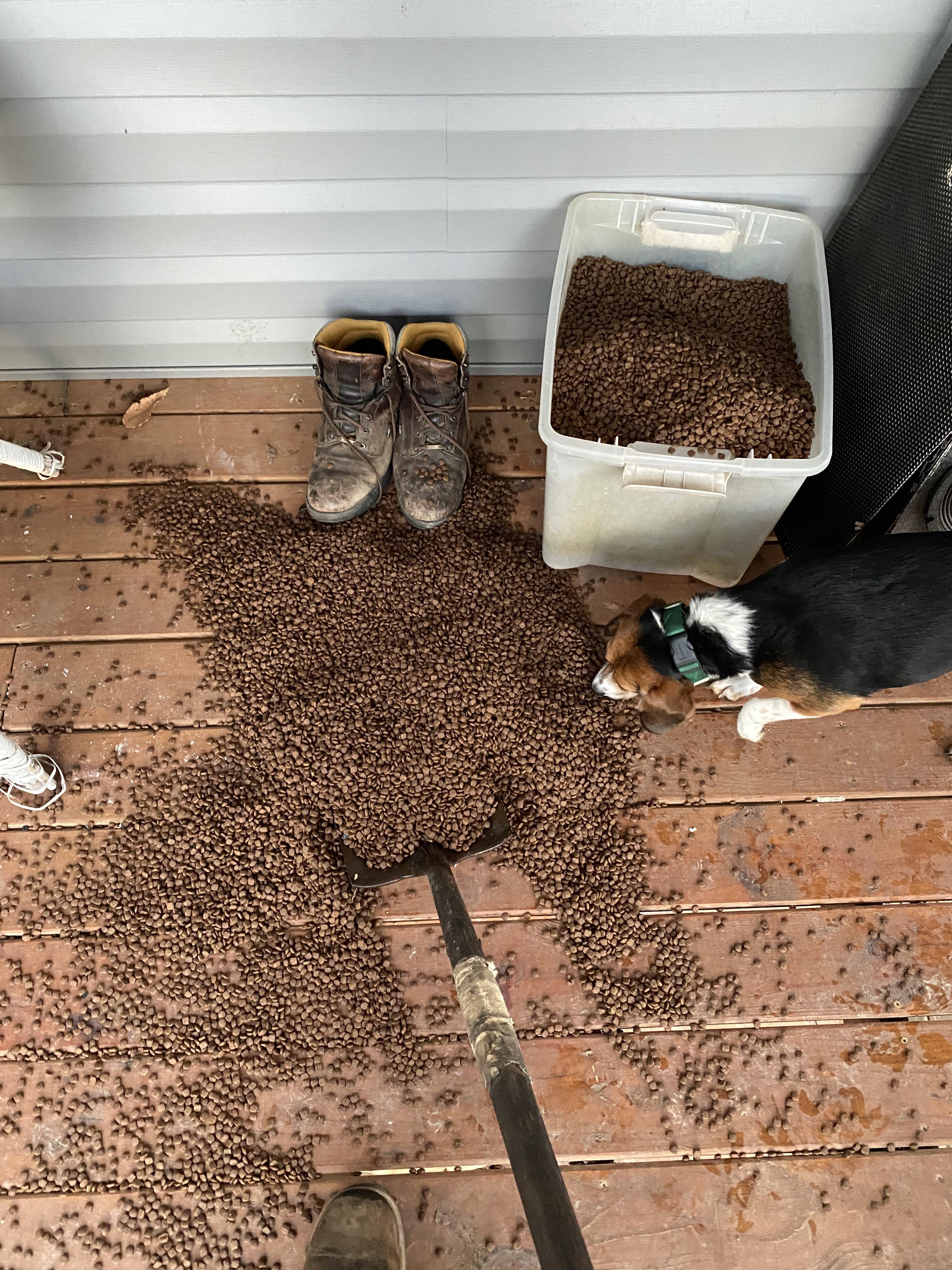 My 50 lb bag of dog food ripped while pouring into the plastic storage container r