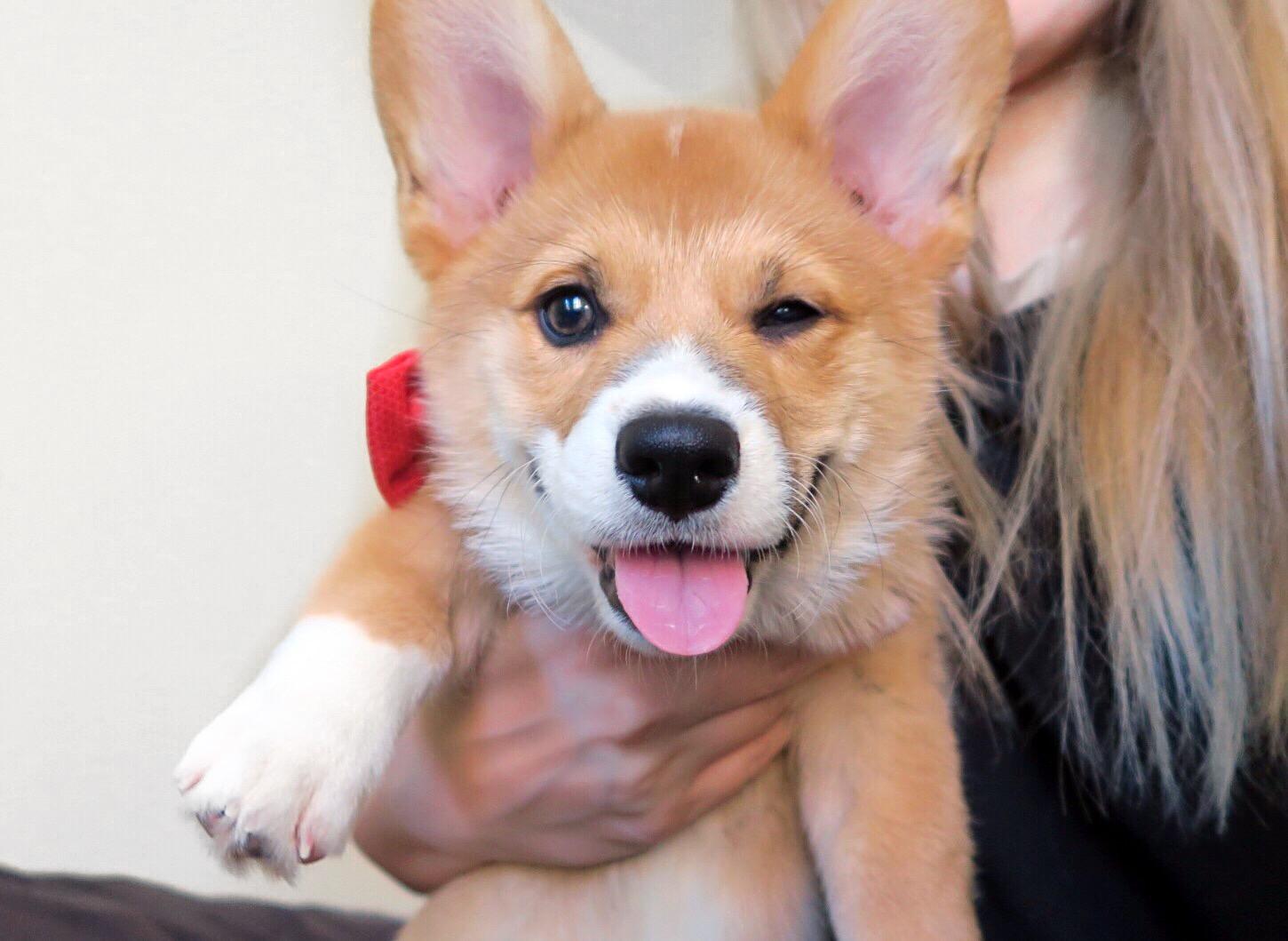 10 Ways Your Will Improve Your Quality Of Life SonderLives