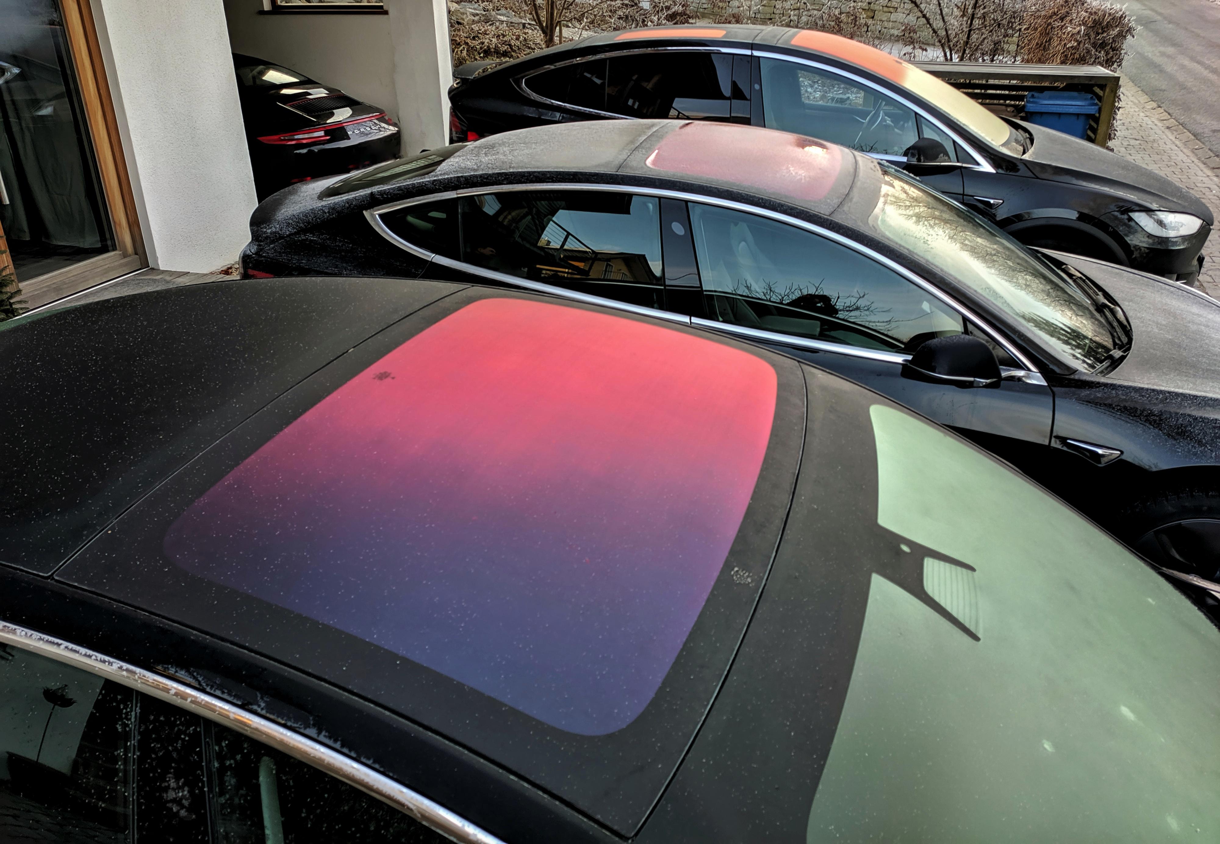 The tint of the sunroof is even more beautiful when frozen! r/TeslaLounge