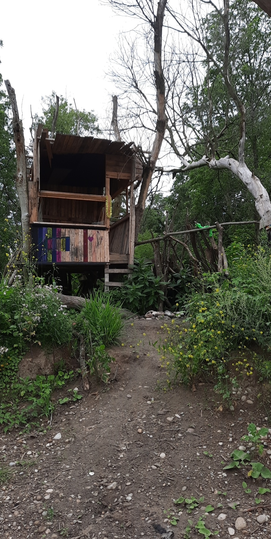 North End Stranger Danger brantford