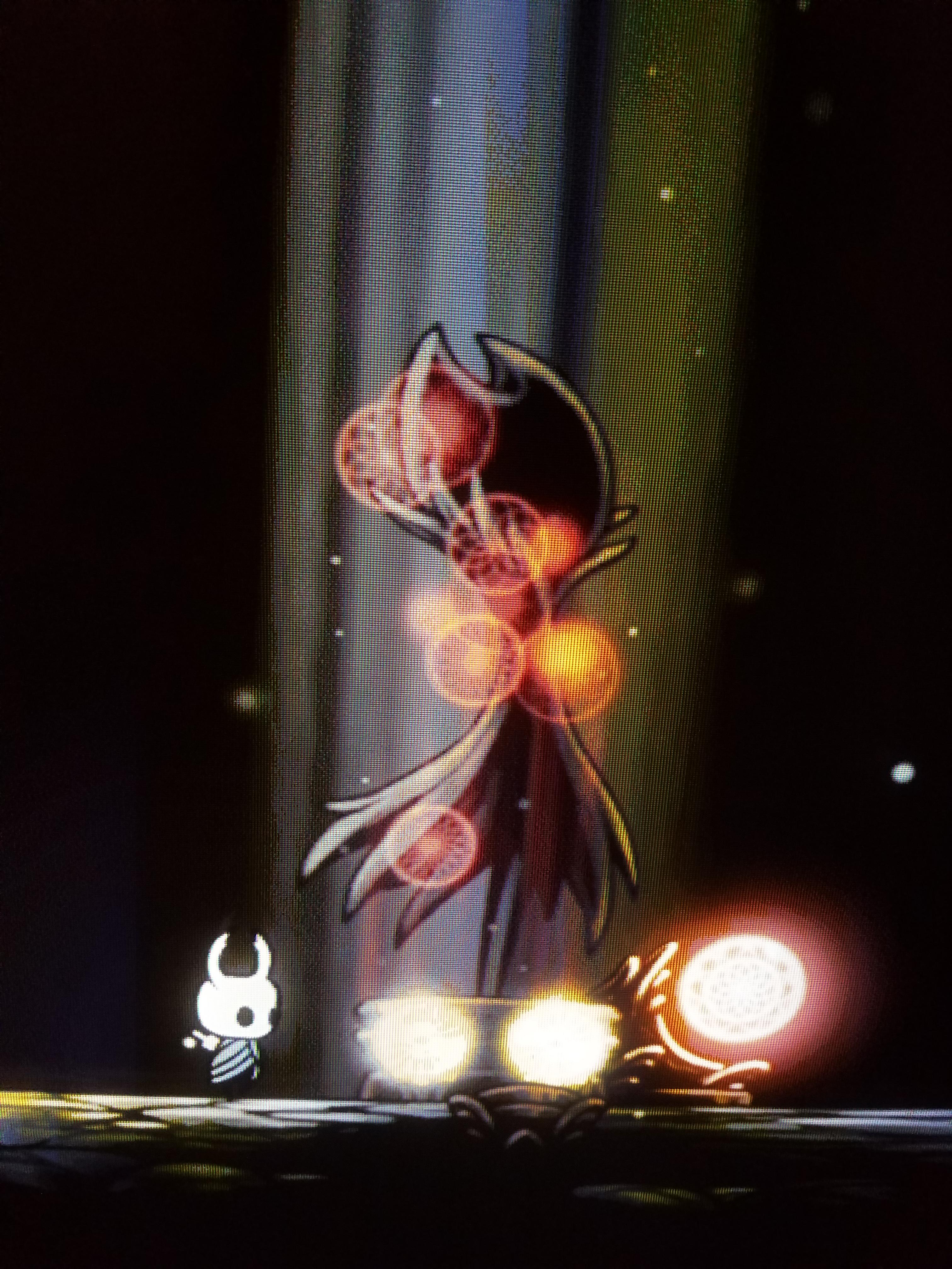 My chest hurts. r/HollowKnight