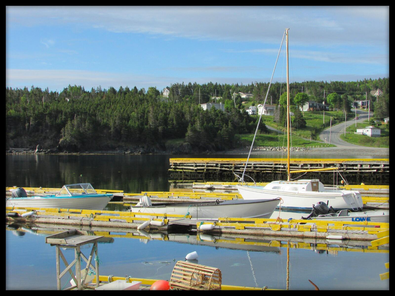 Chapel Arm r/newfoundland