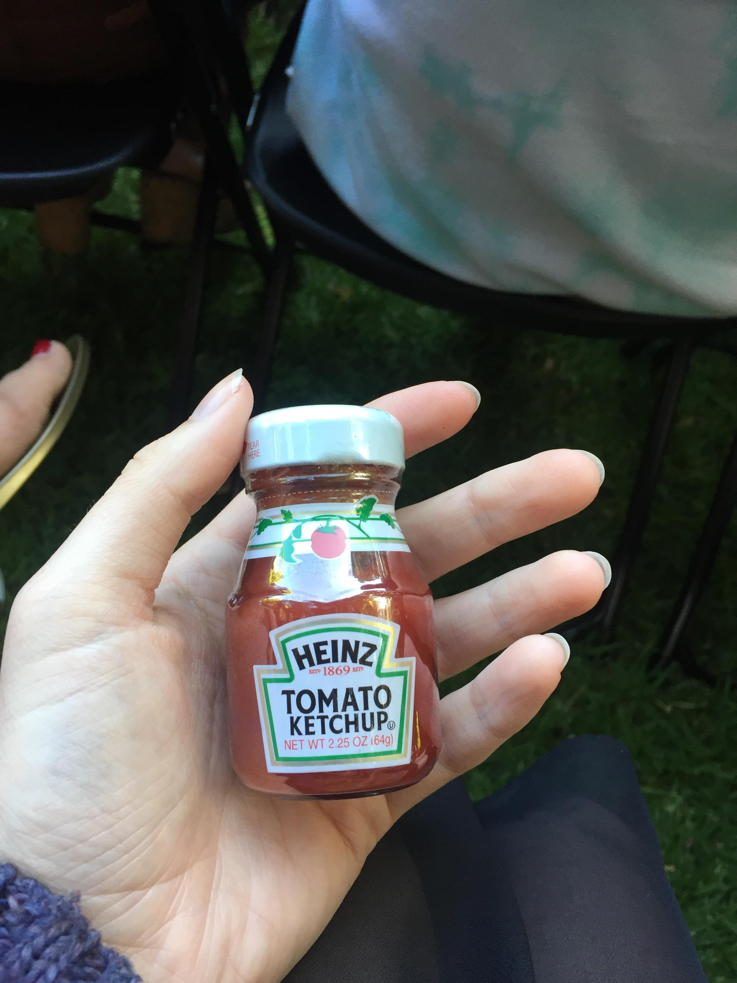 What is this?? Ketchup for ants??? r/thingsforants