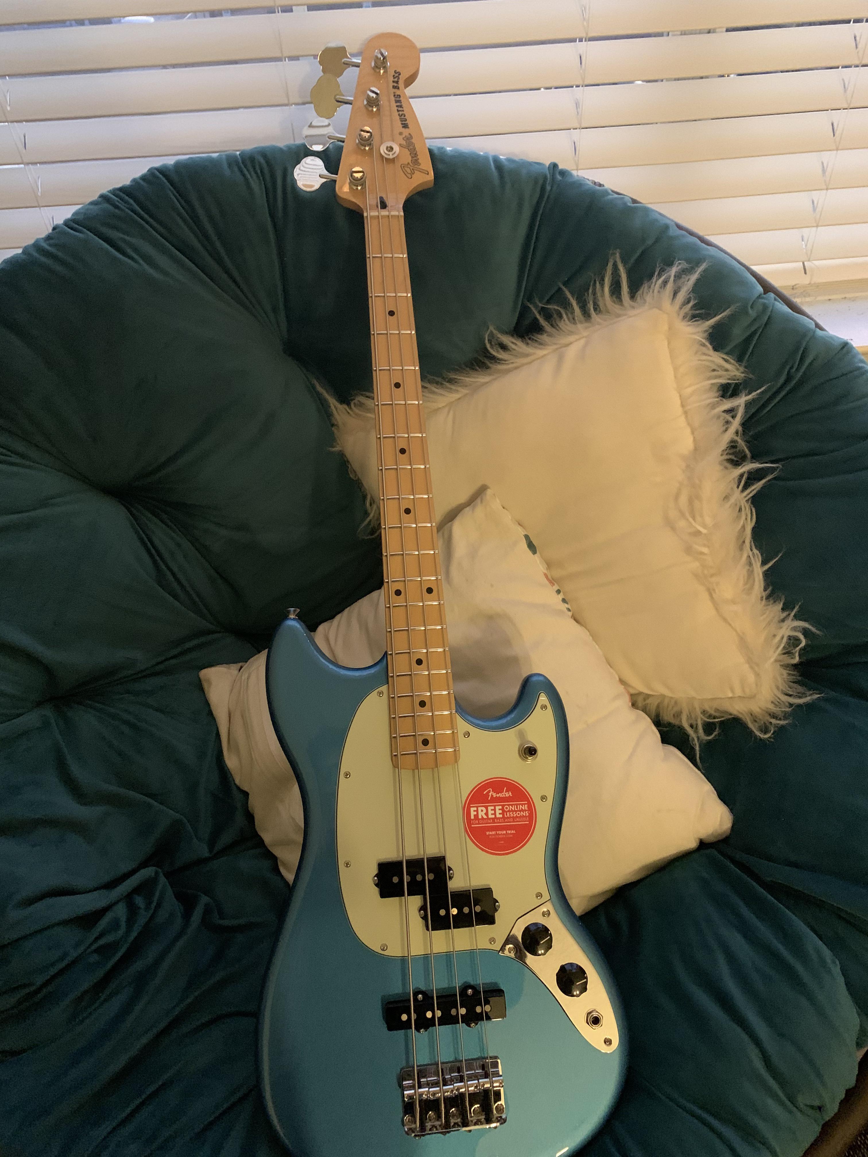 Just got my first bass! r/BassGuitar