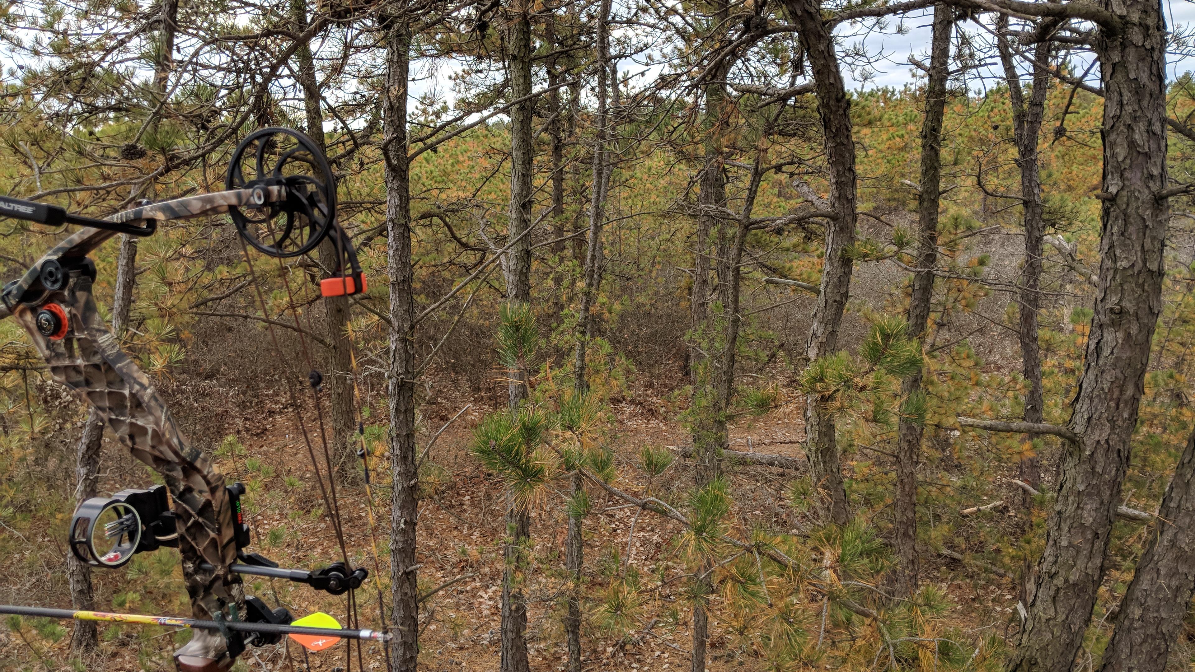 Checking in from Long Island, NY. Hoping to catch up with a suburban buck r/Hunting