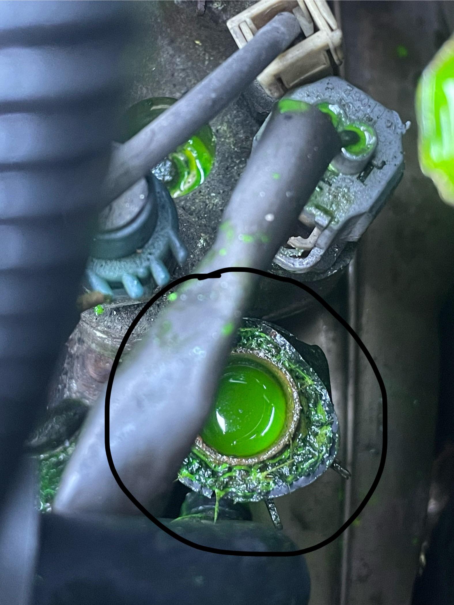 Coolant hose clamp stuck r/MechanicAdvice
