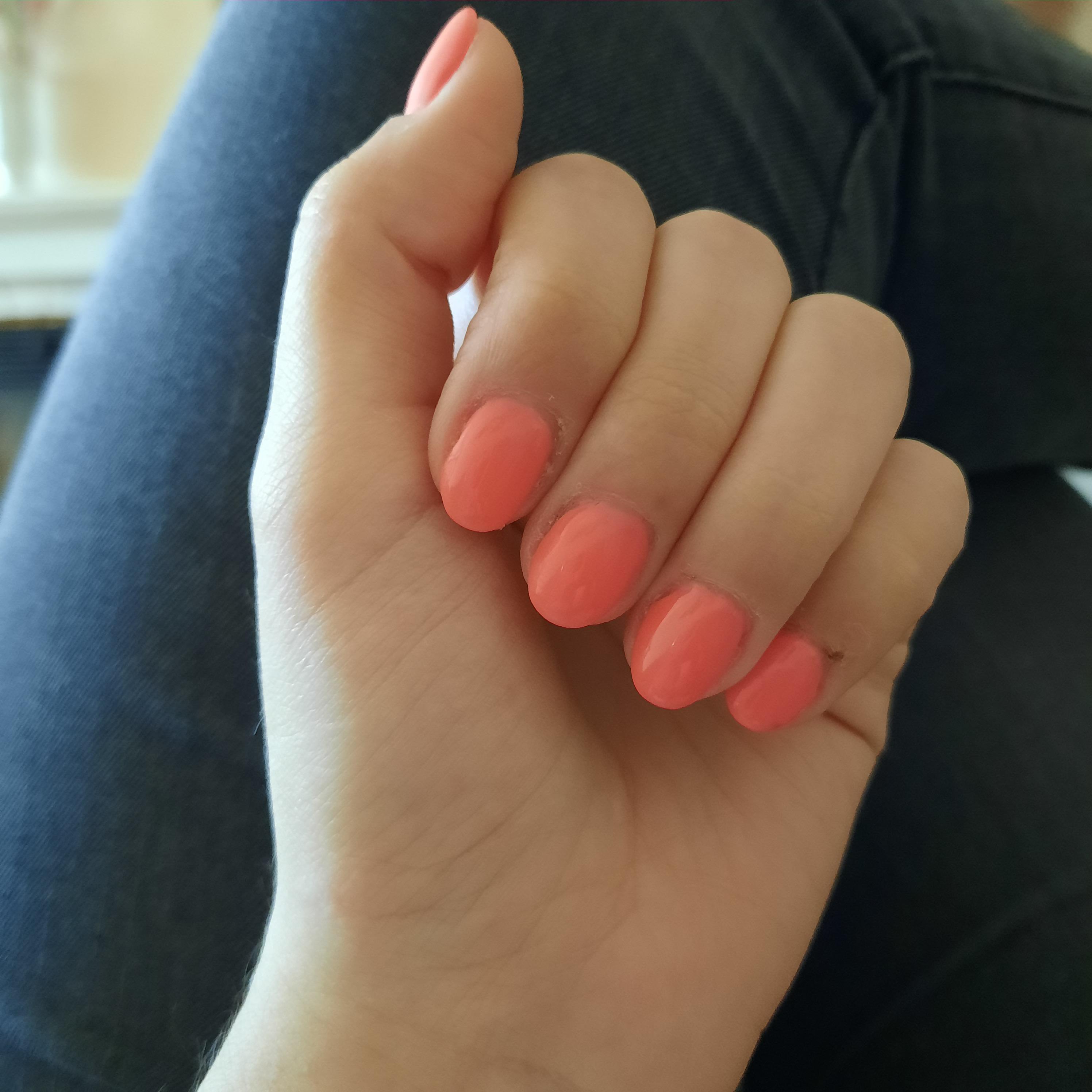 My parrot is afraid of the colour of my nails r/parrots