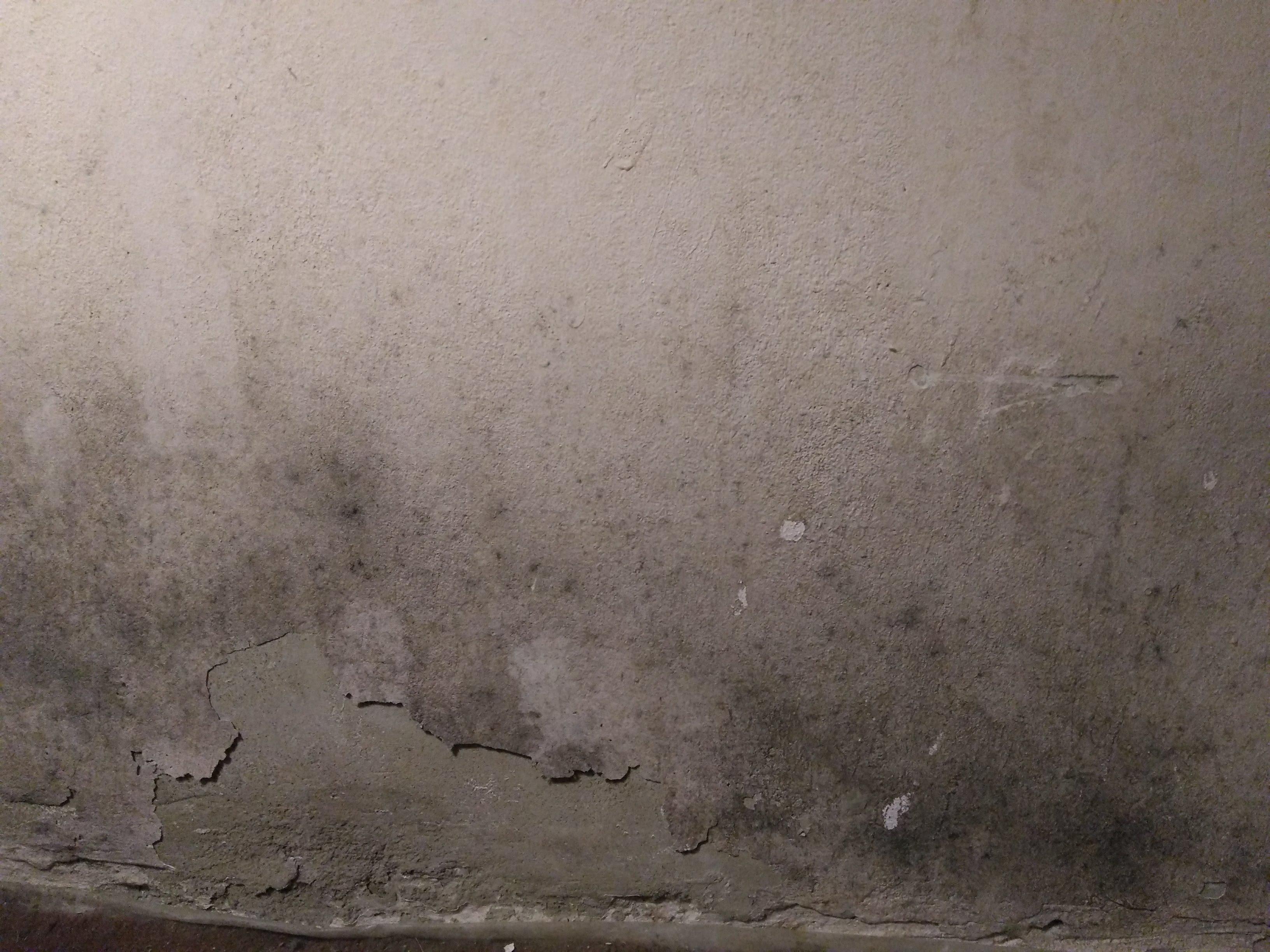 How bad is this and can it be safely cleaned? Mold