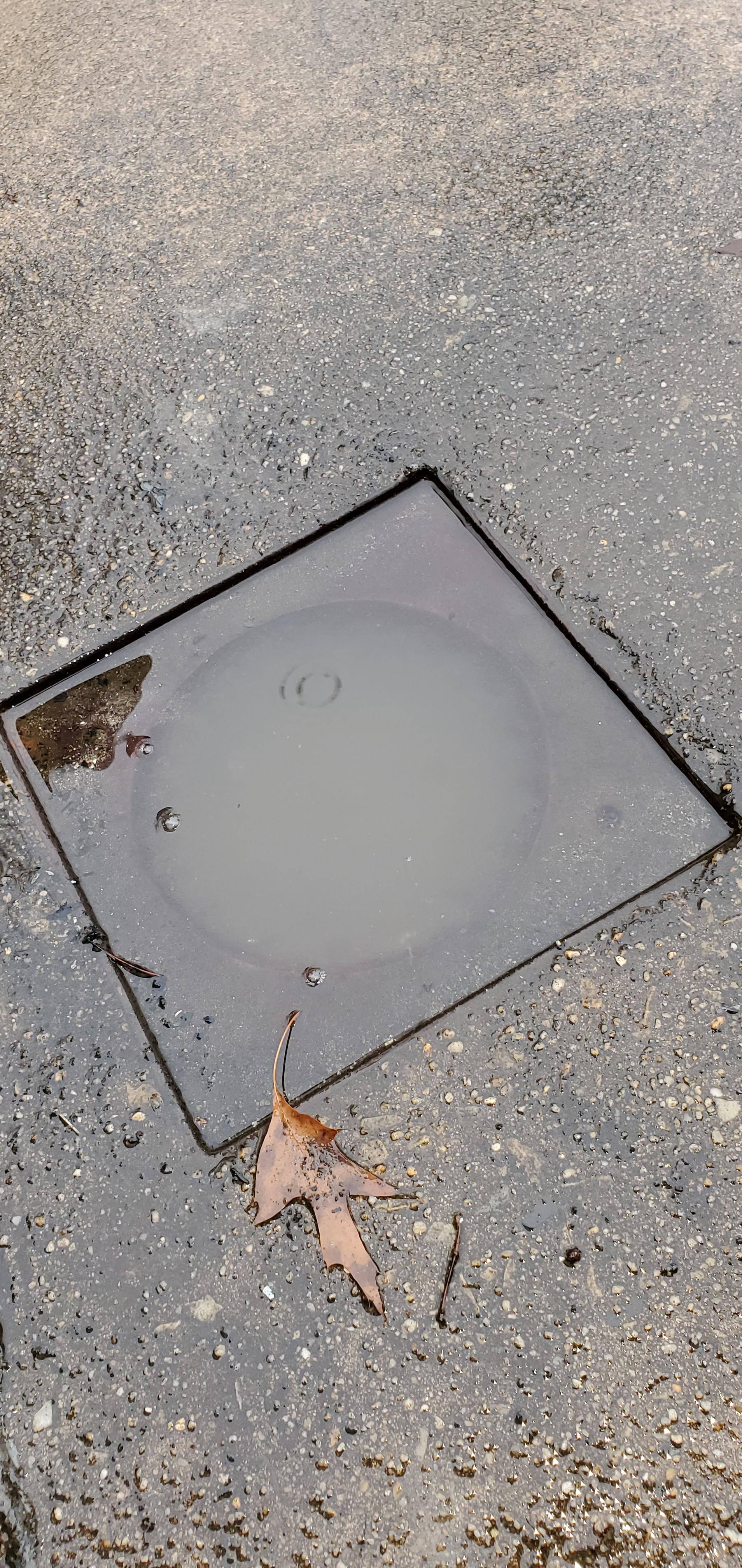 Drain cover removal. This drain in my concrete patio is clogged and i
