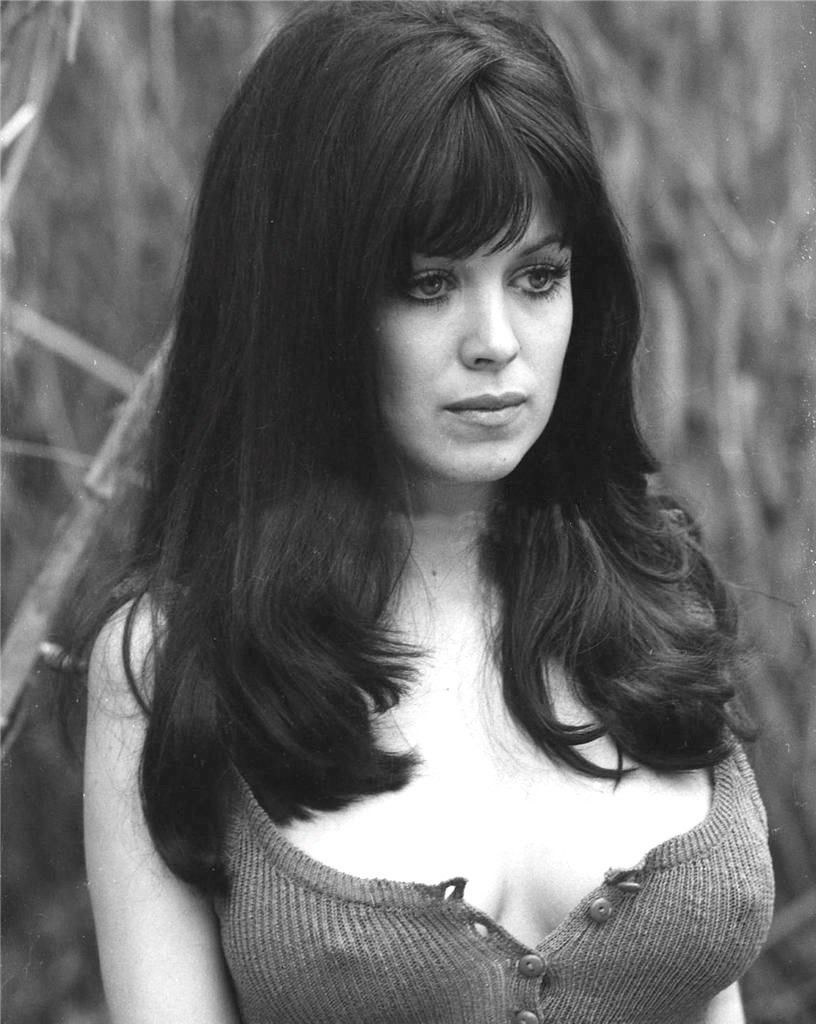 Phyllis Davis : vgb