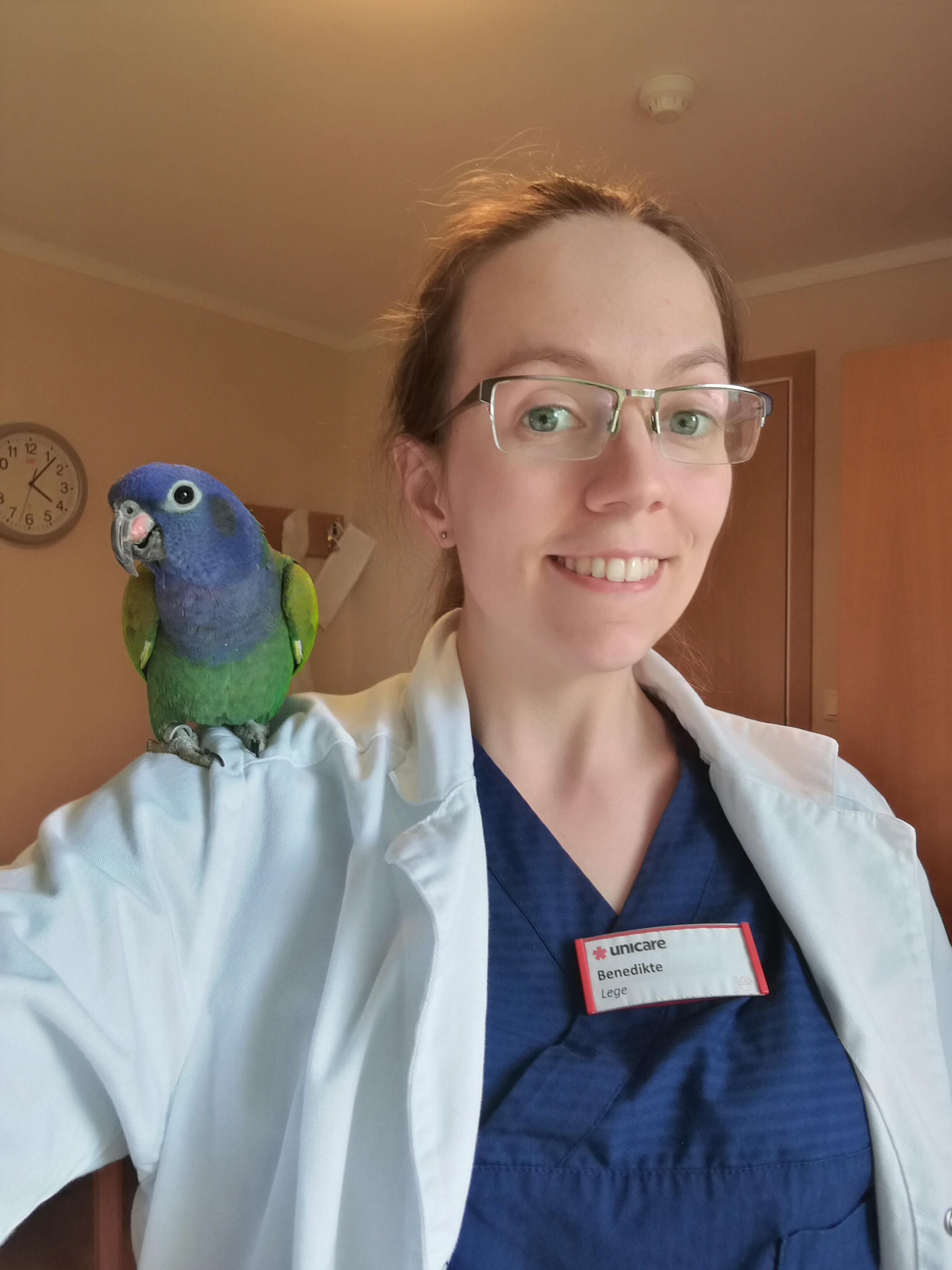 Doctor Bird is here to see you r/birdswithjobs