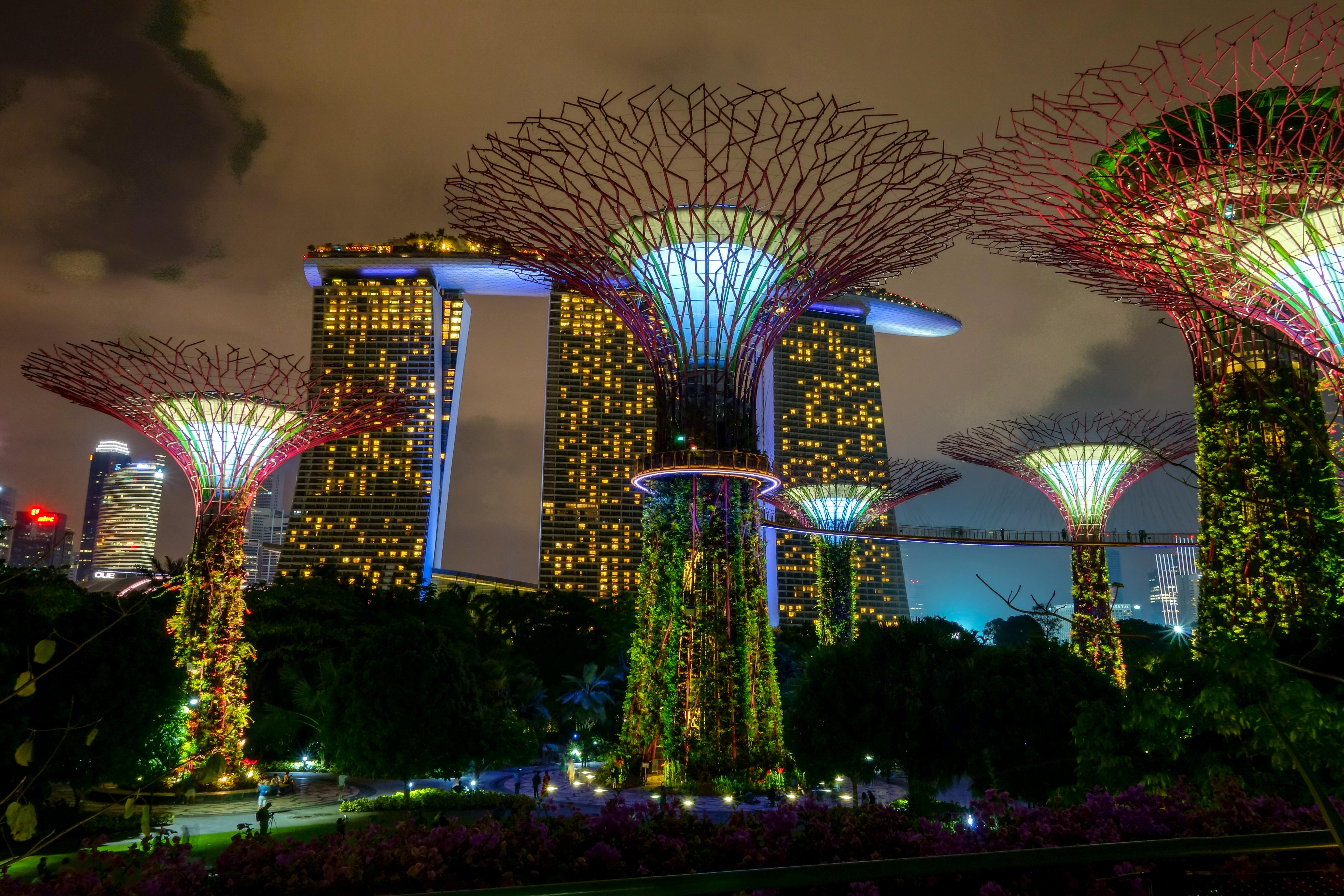 11 Days in Singapore, the Garden City travel