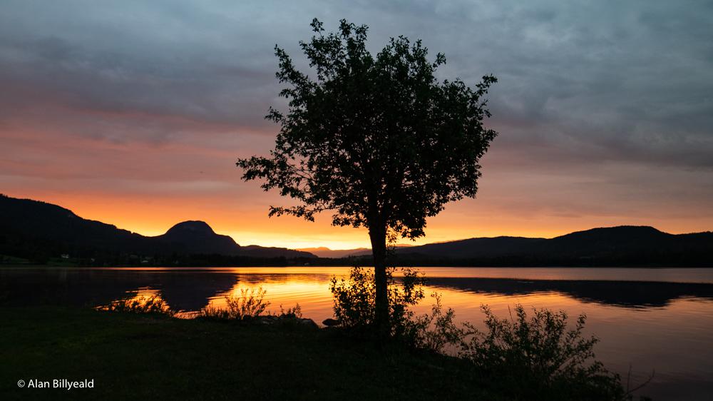 Land of the midnight sun! r/NorwayPics