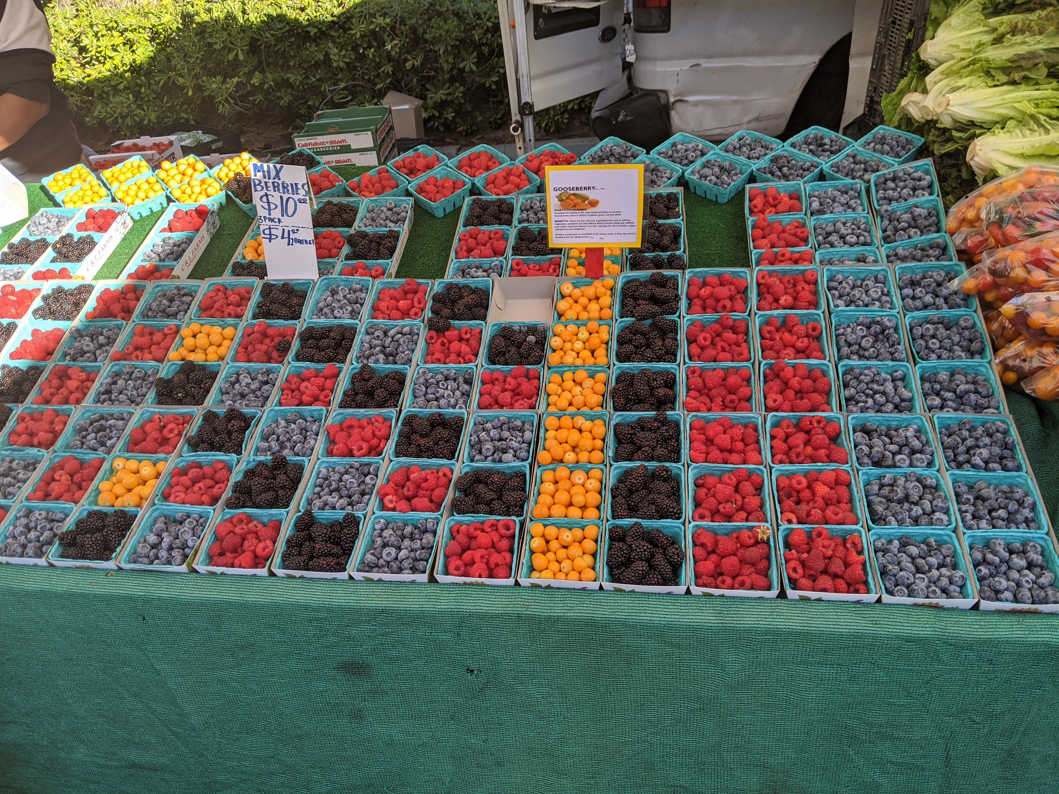 mariners farmers Reddit post and comment search SocialGrep