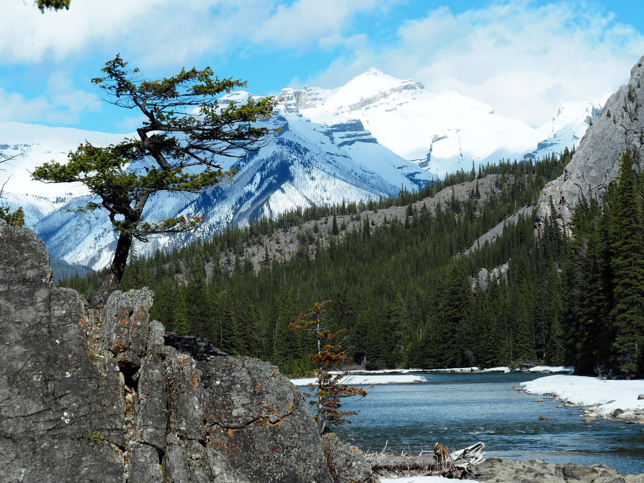 Spring in Banff, Alberta, Canada [OC] [4608x3456] r/EarthPorn