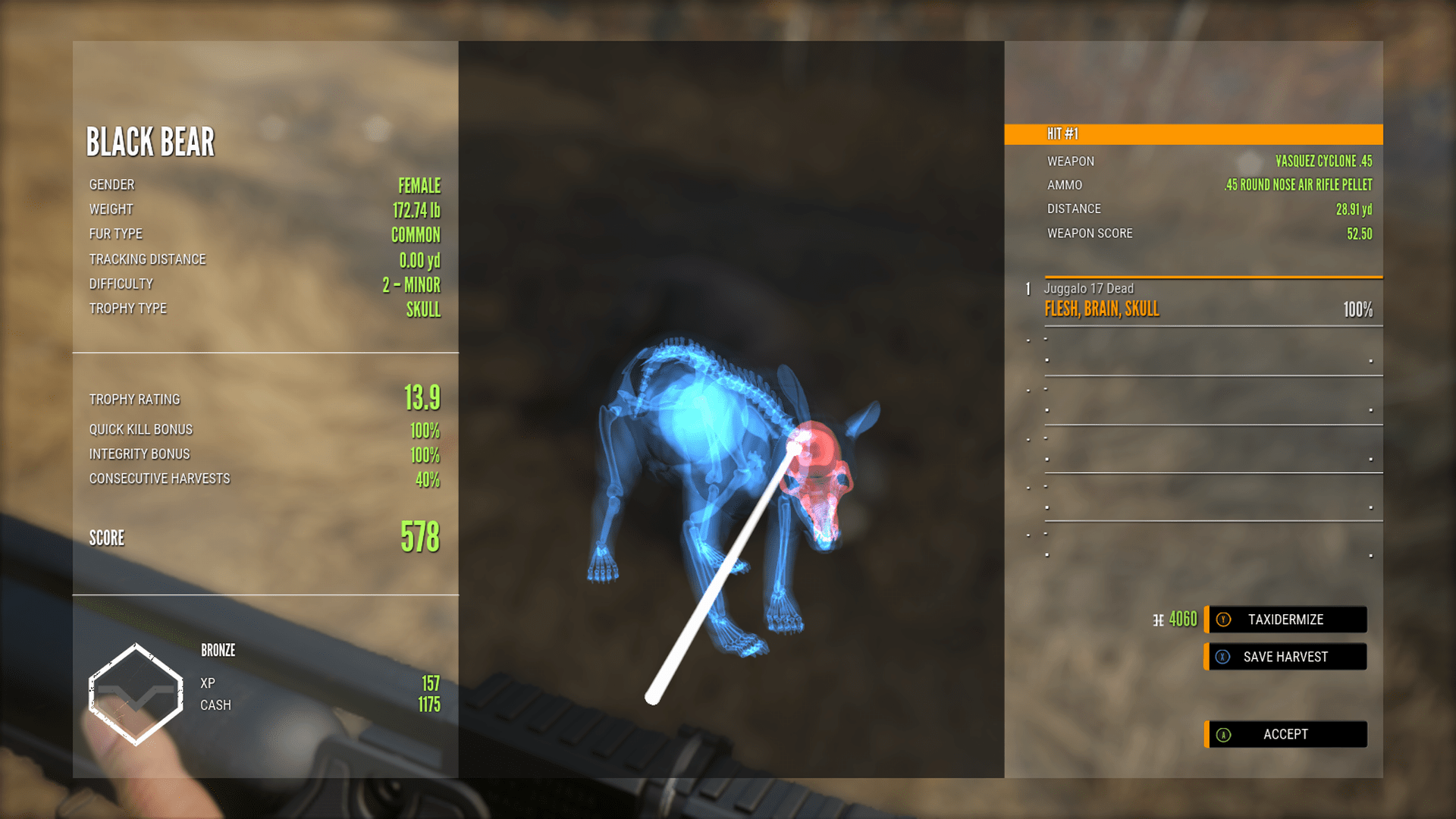 Having fun mercing black bear with a pellet gun r/theHunter