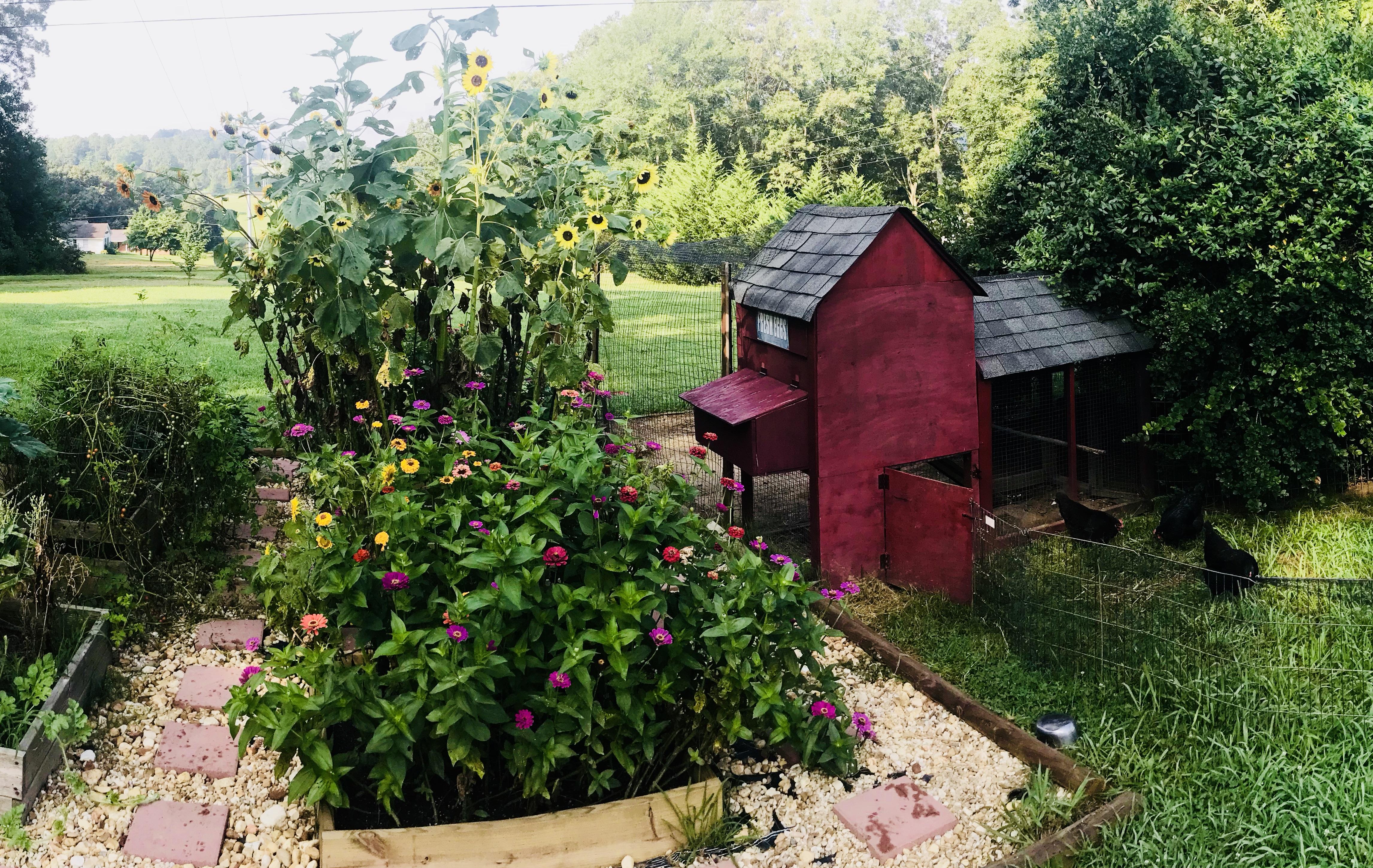 Garden & Coop r/gardening