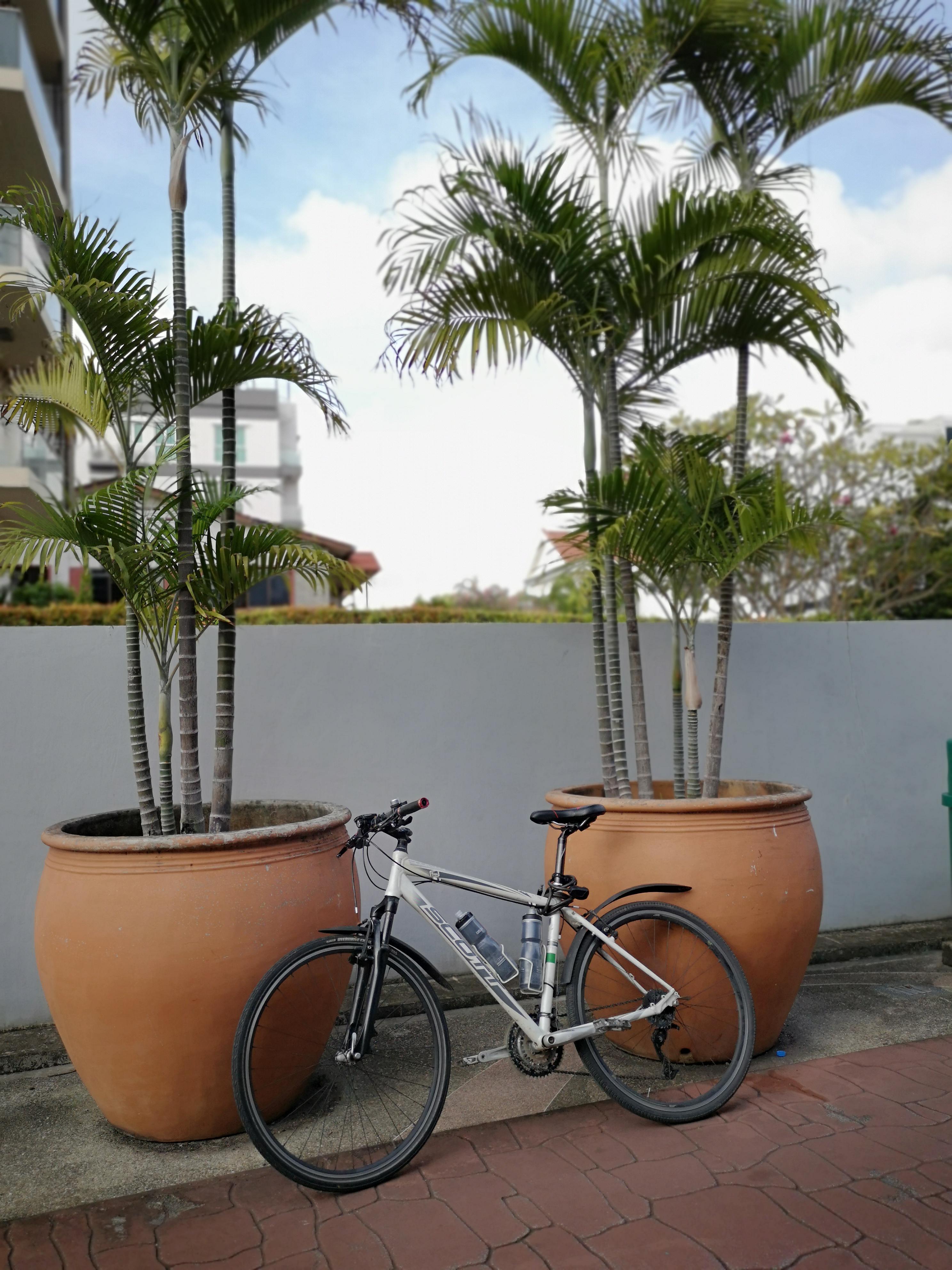 10 Years and some 30,000 km later. The front suspension seized up years