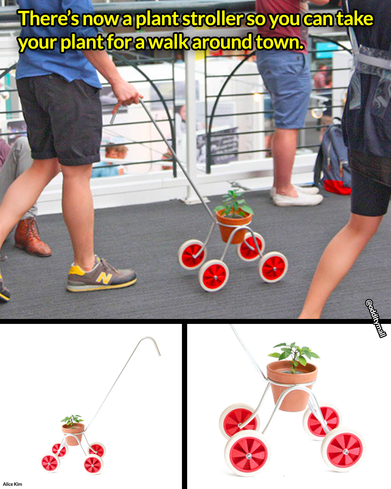 Plant Stroller : r/OddityMall