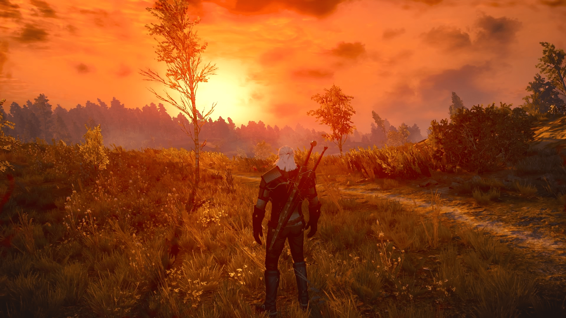 21 best u/djdribbles images on Pholder Witcher, Rocket League and