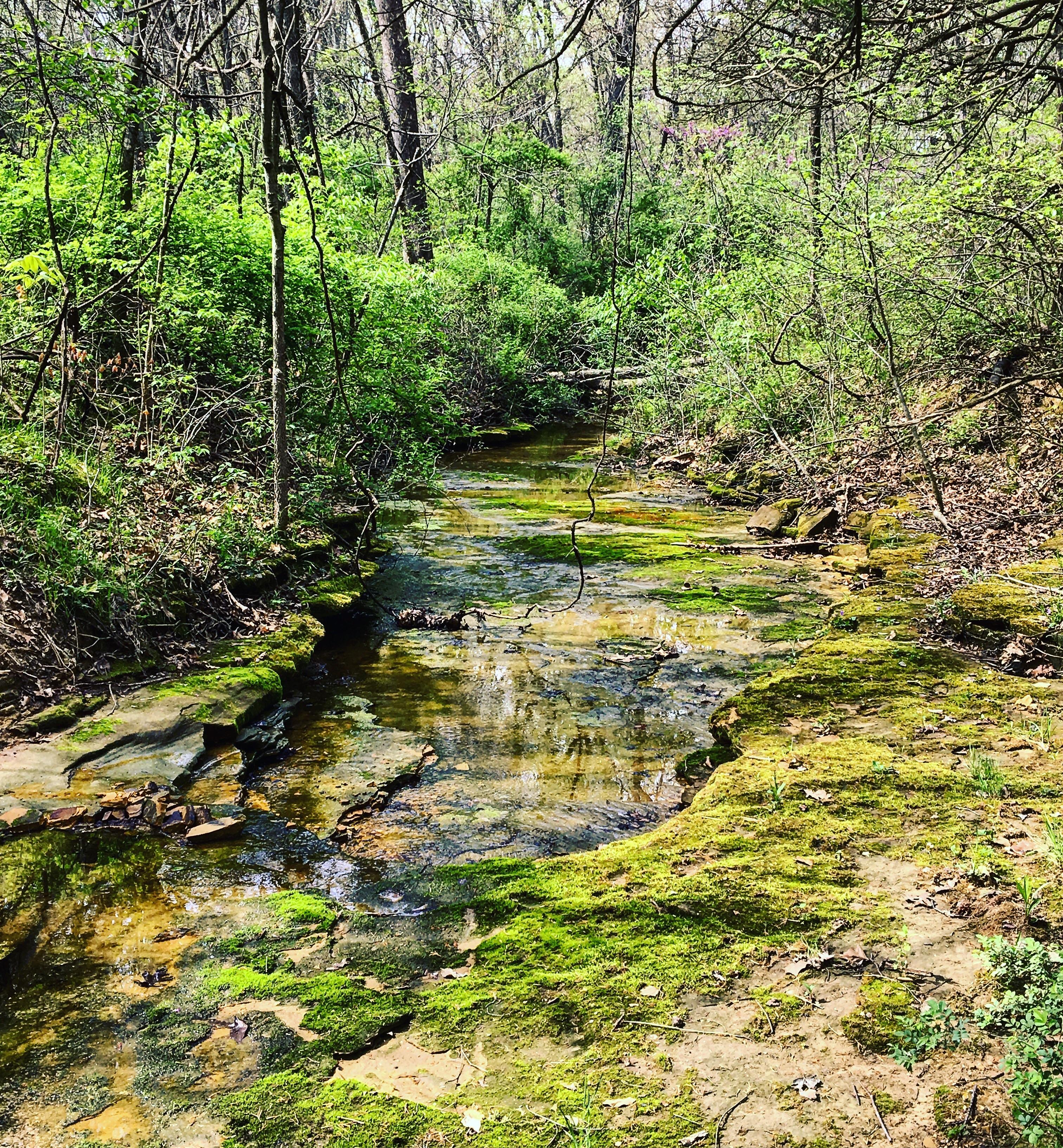 Middle of nowhere Missouri. r/ImagesOfMissouri