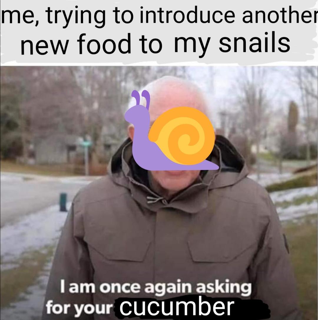 I don't know if your snails are as picky as mine, but still r/snails